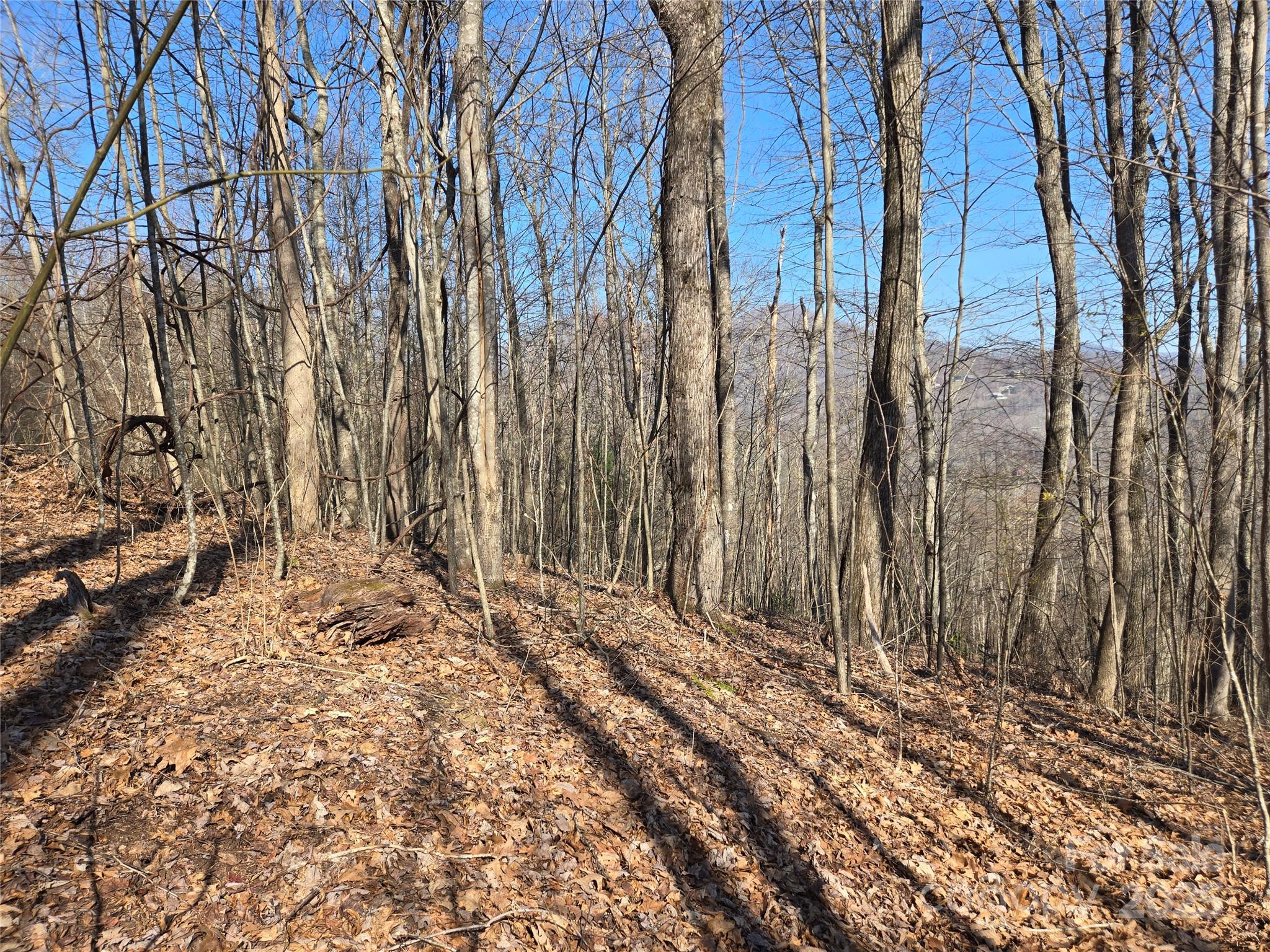 Lot 18 Echo Ridge Property Photo 10
