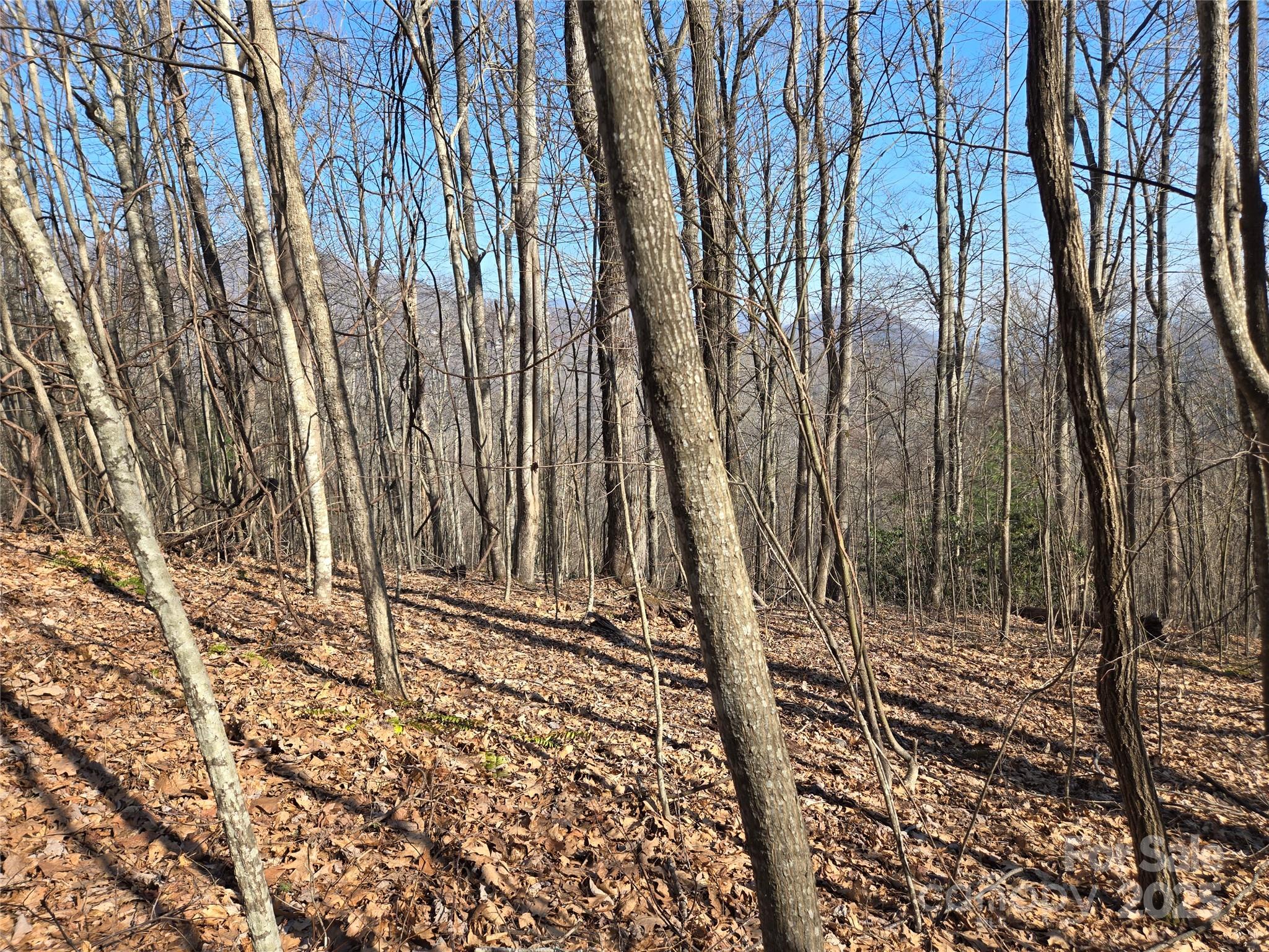 Lot 18 Echo Ridge Property Photo 11
