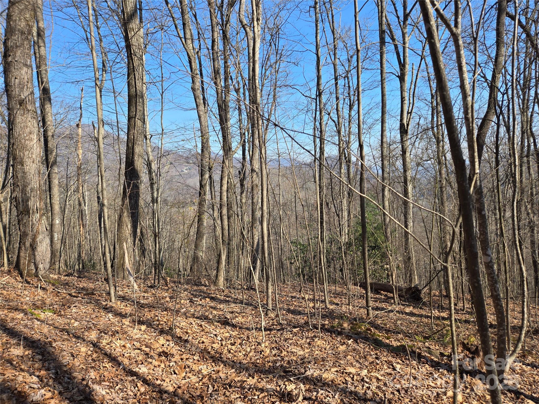 Lot 18 Echo Ridge Property Photo 12