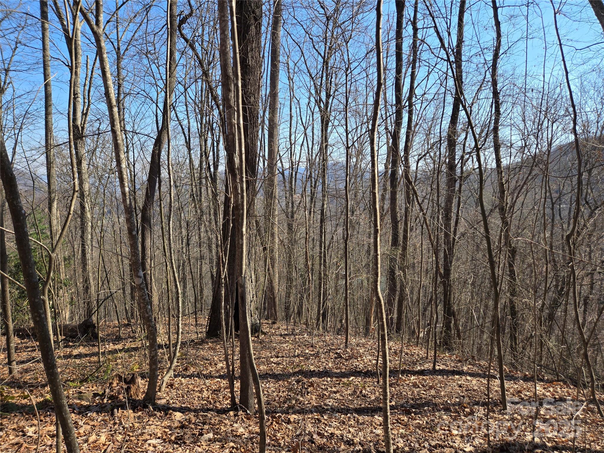 Lot 18 Echo Ridge Property Photo 14