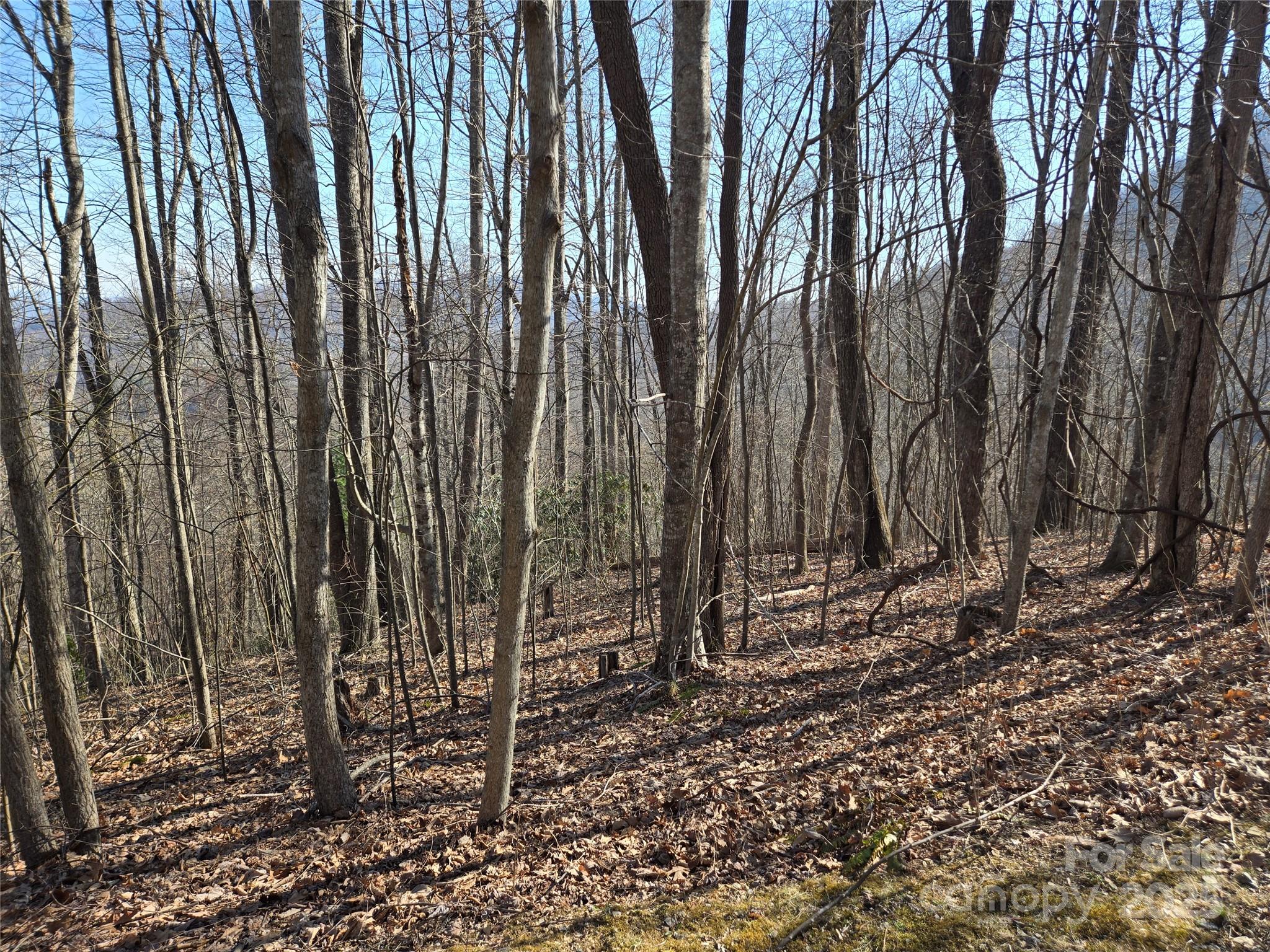 Lot 18 Echo Ridge Property Photo 15