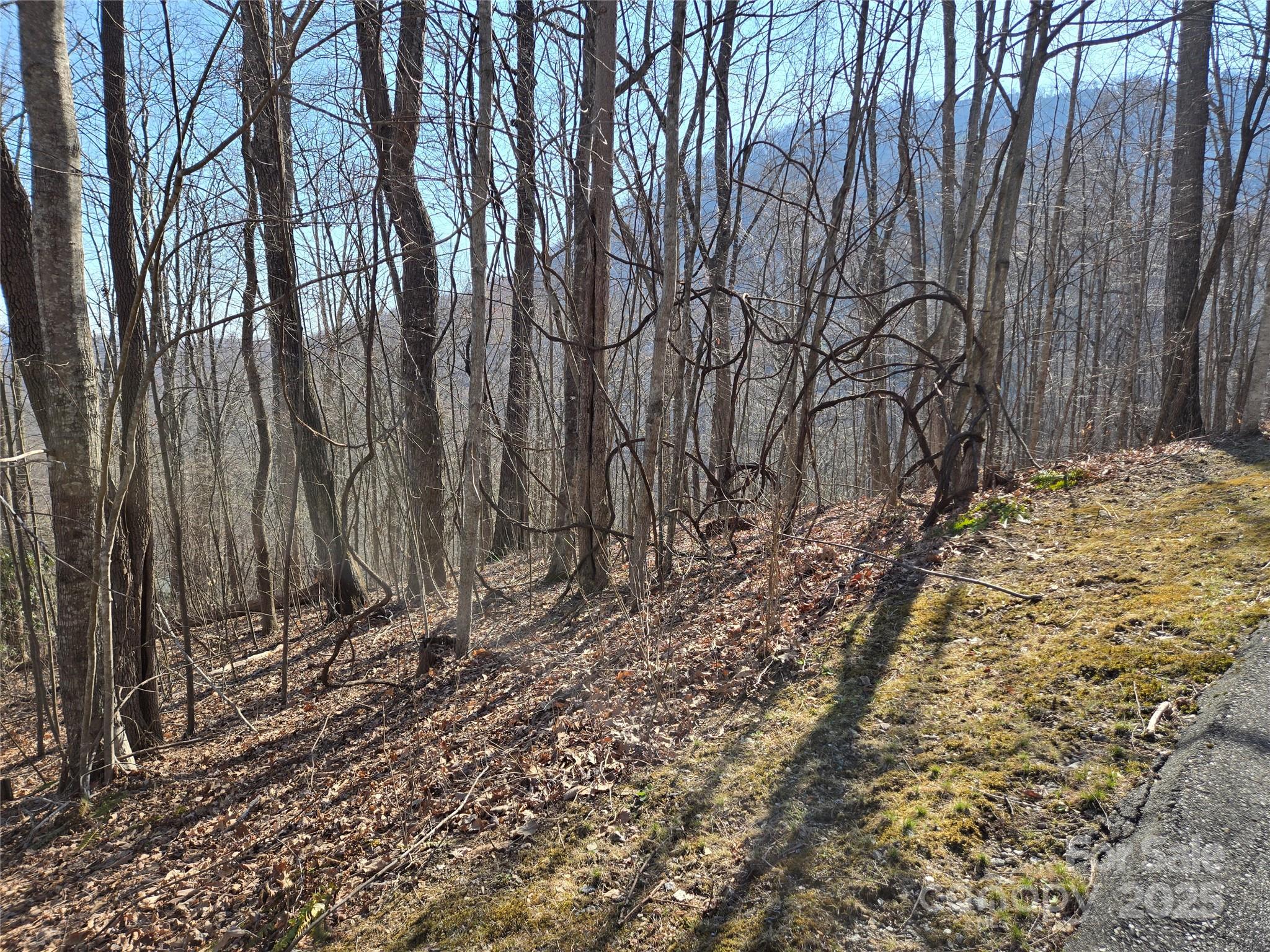 Lot 18 Echo Ridge Property Photo 16