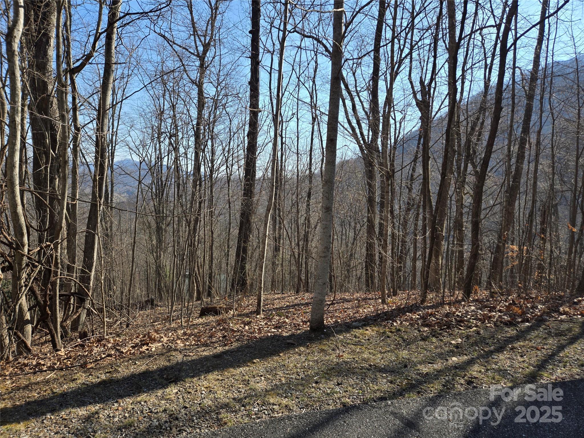 Lot 18 Echo Ridge Property Photo 17