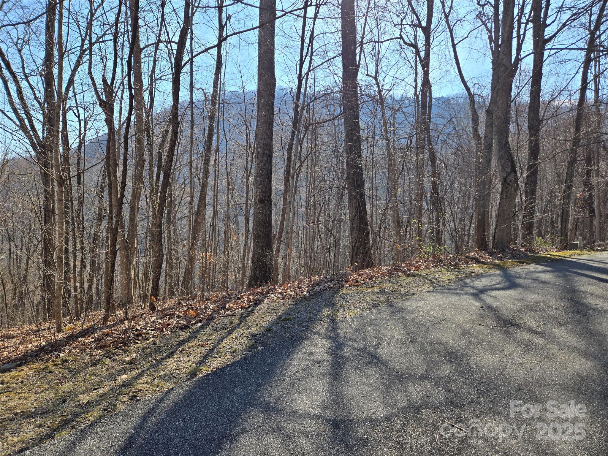 Lot 18 Echo Ridge Property Photo 18
