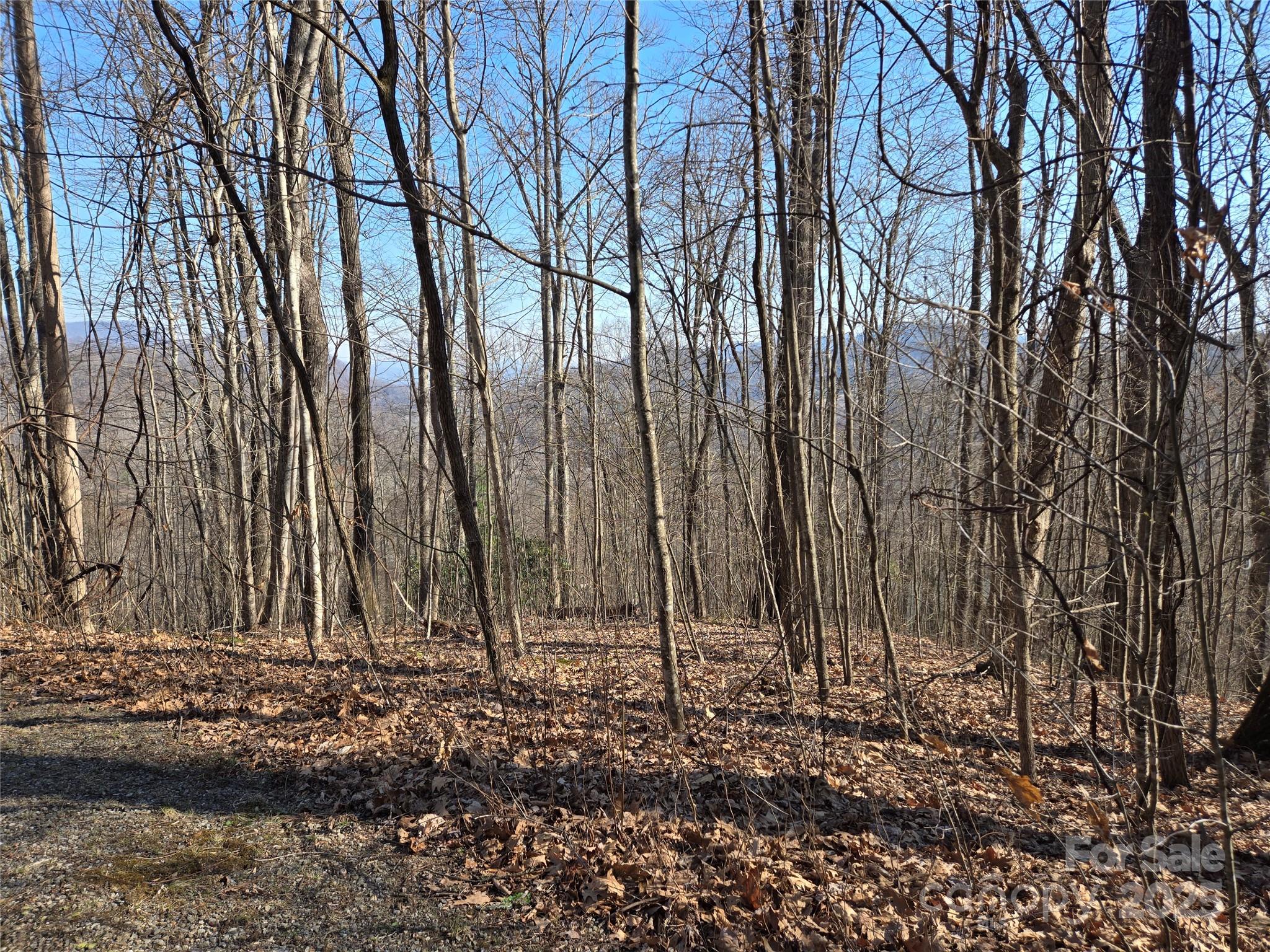 Lot 18 Echo Ridge Property Photo 19