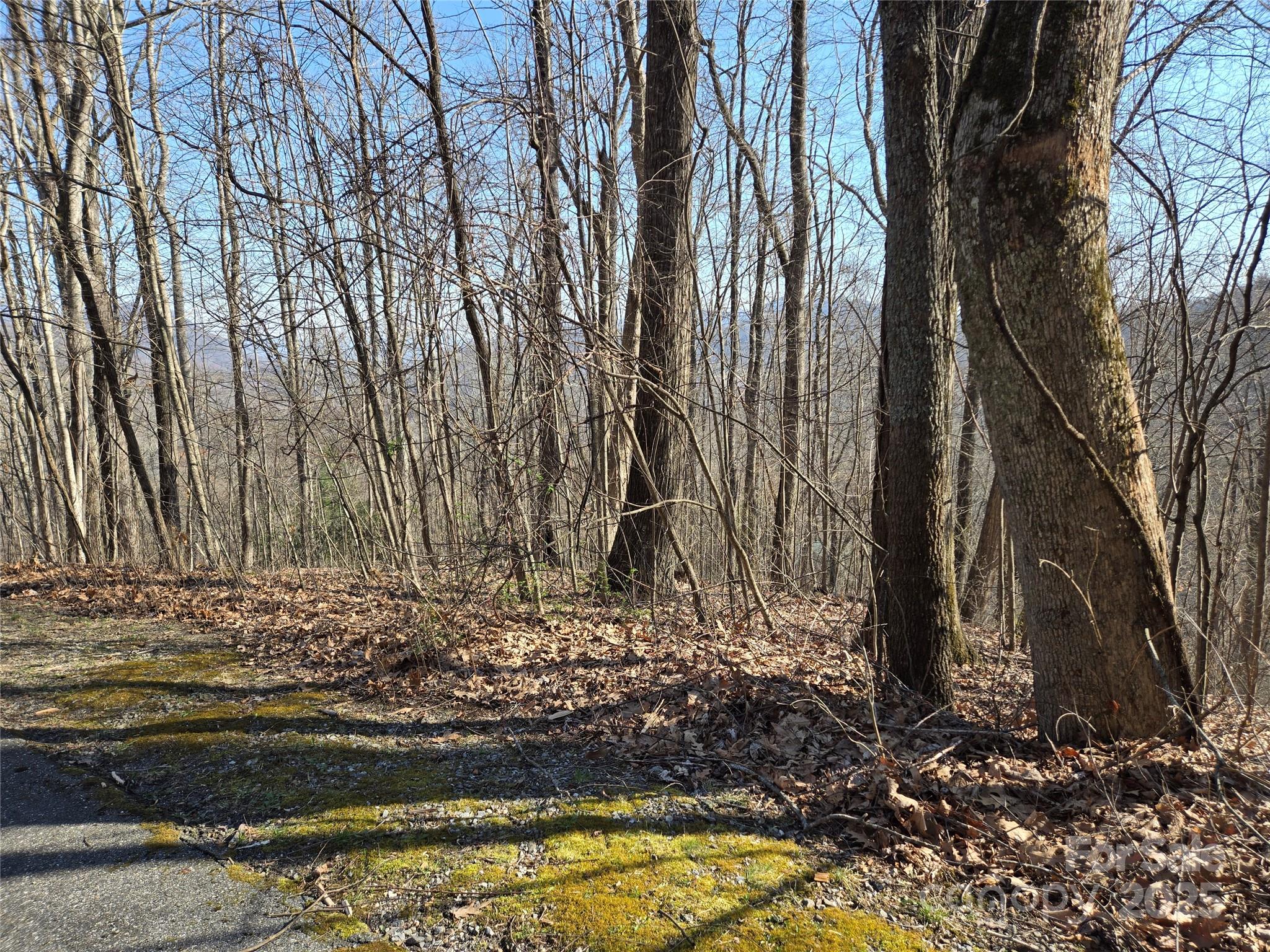Lot 18 Echo Ridge Property Photo 23