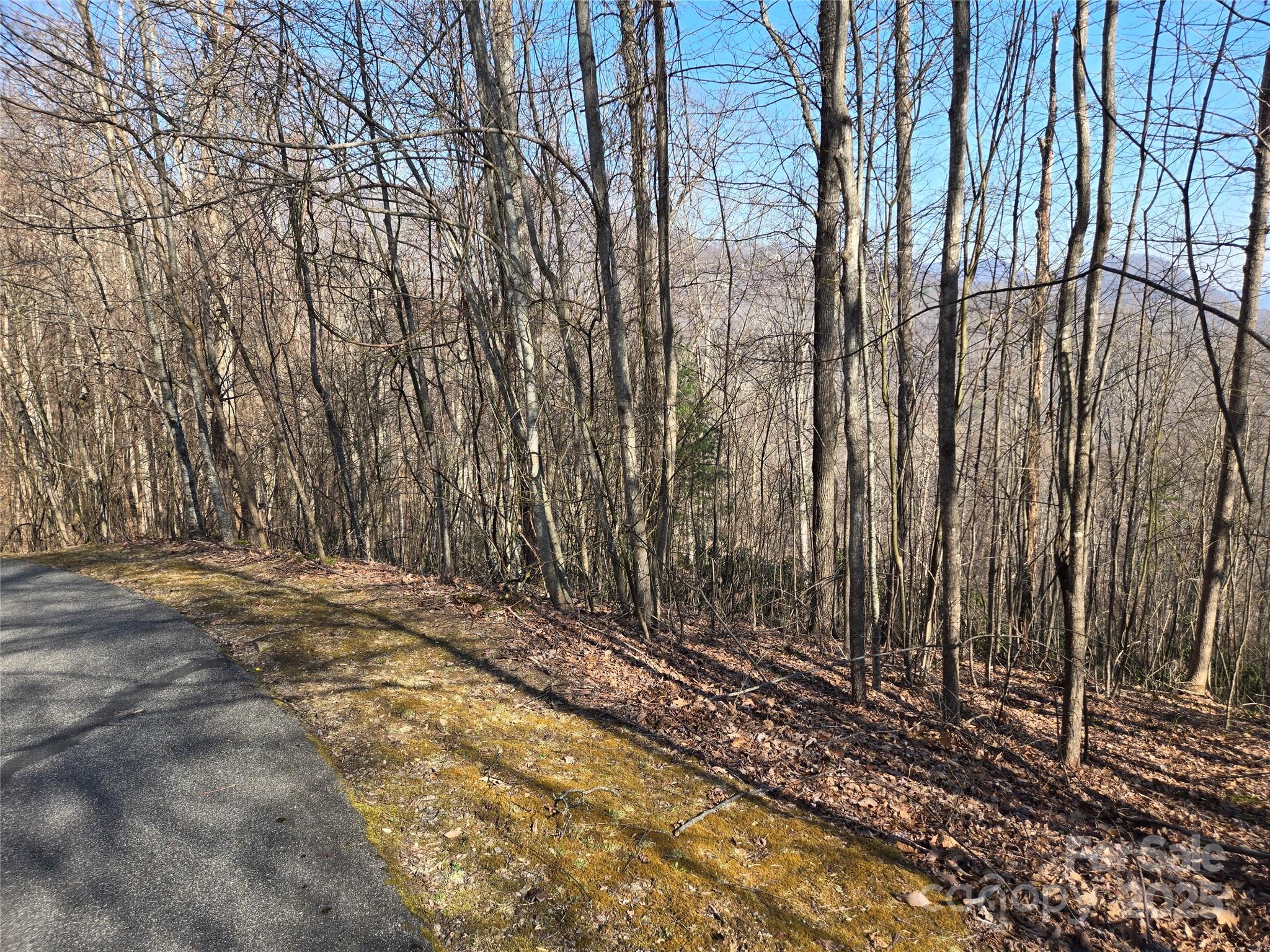 Lot 18 Echo Ridge Property Photo 26