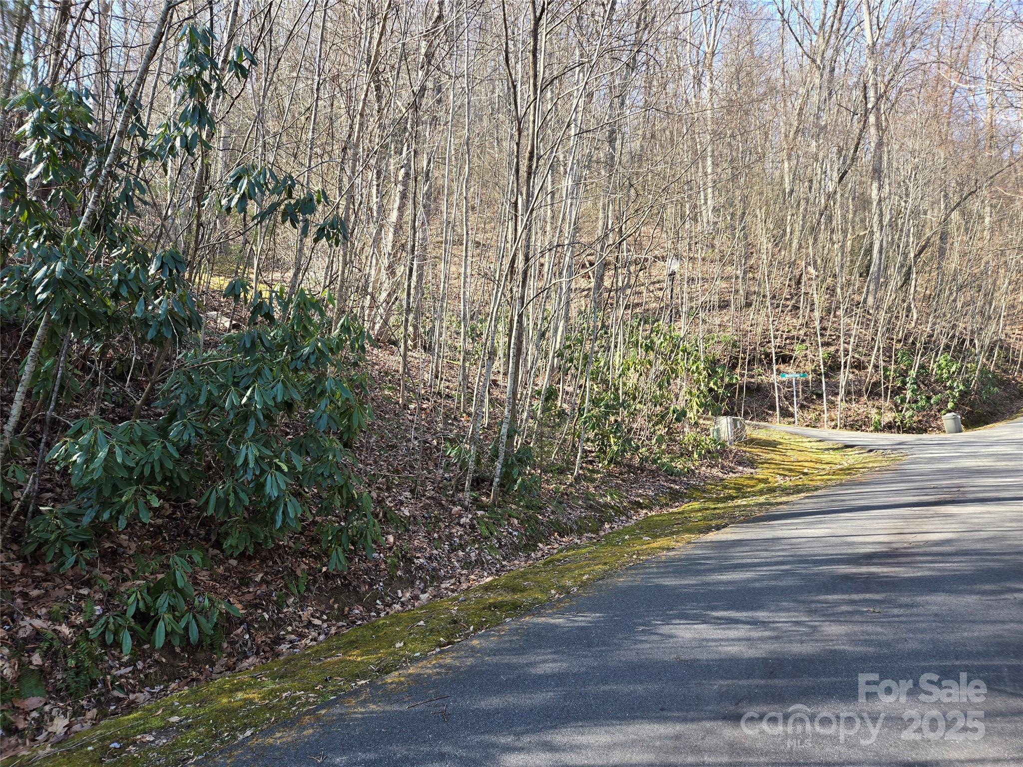Lot 18 Echo Ridge Property Photo 28
