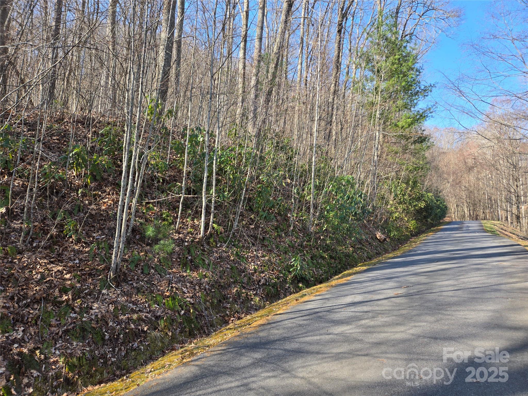 Lot 18 Echo Ridge Property Photo 29