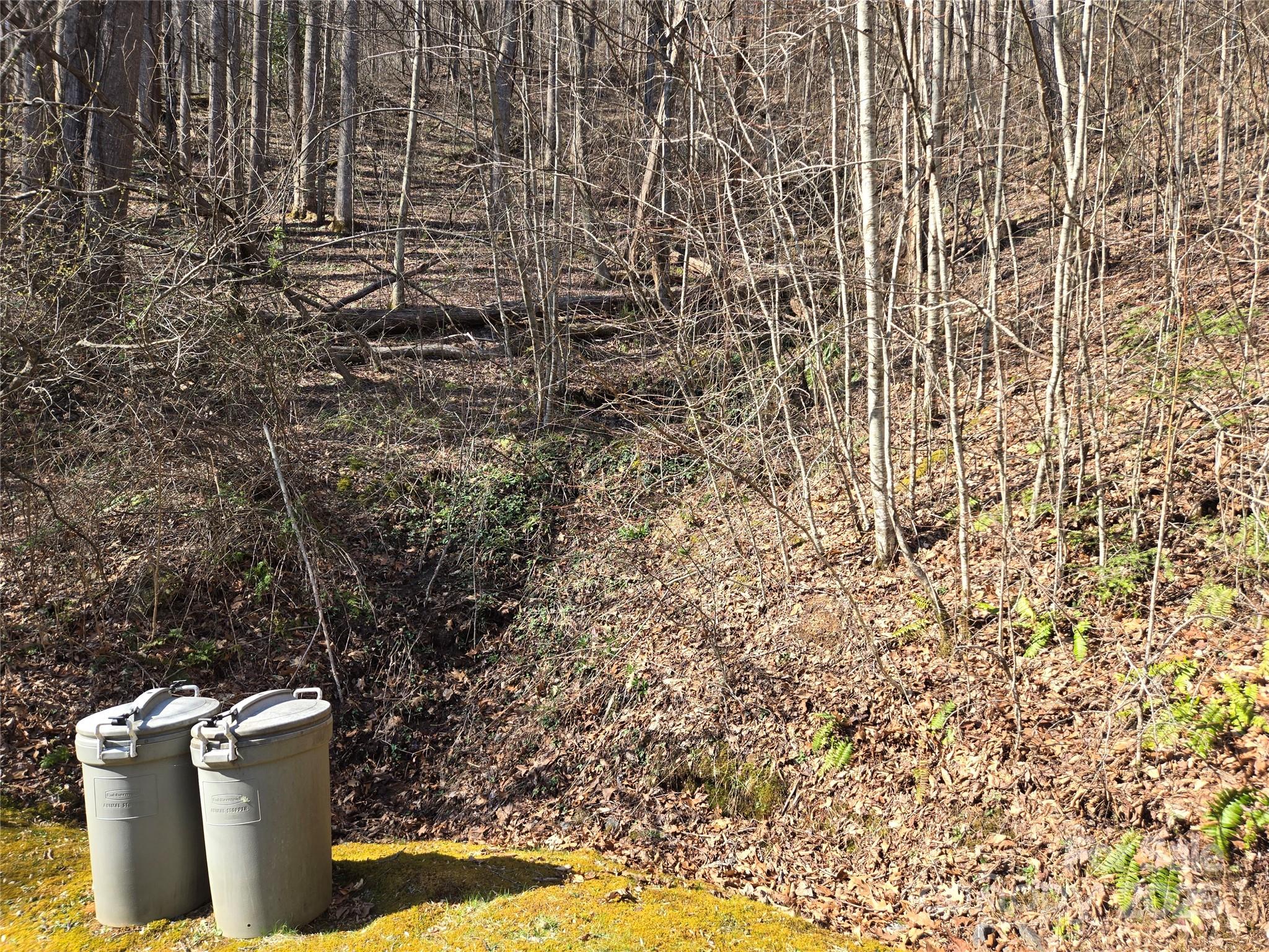 Lot 18 Echo Ridge Property Photo 30