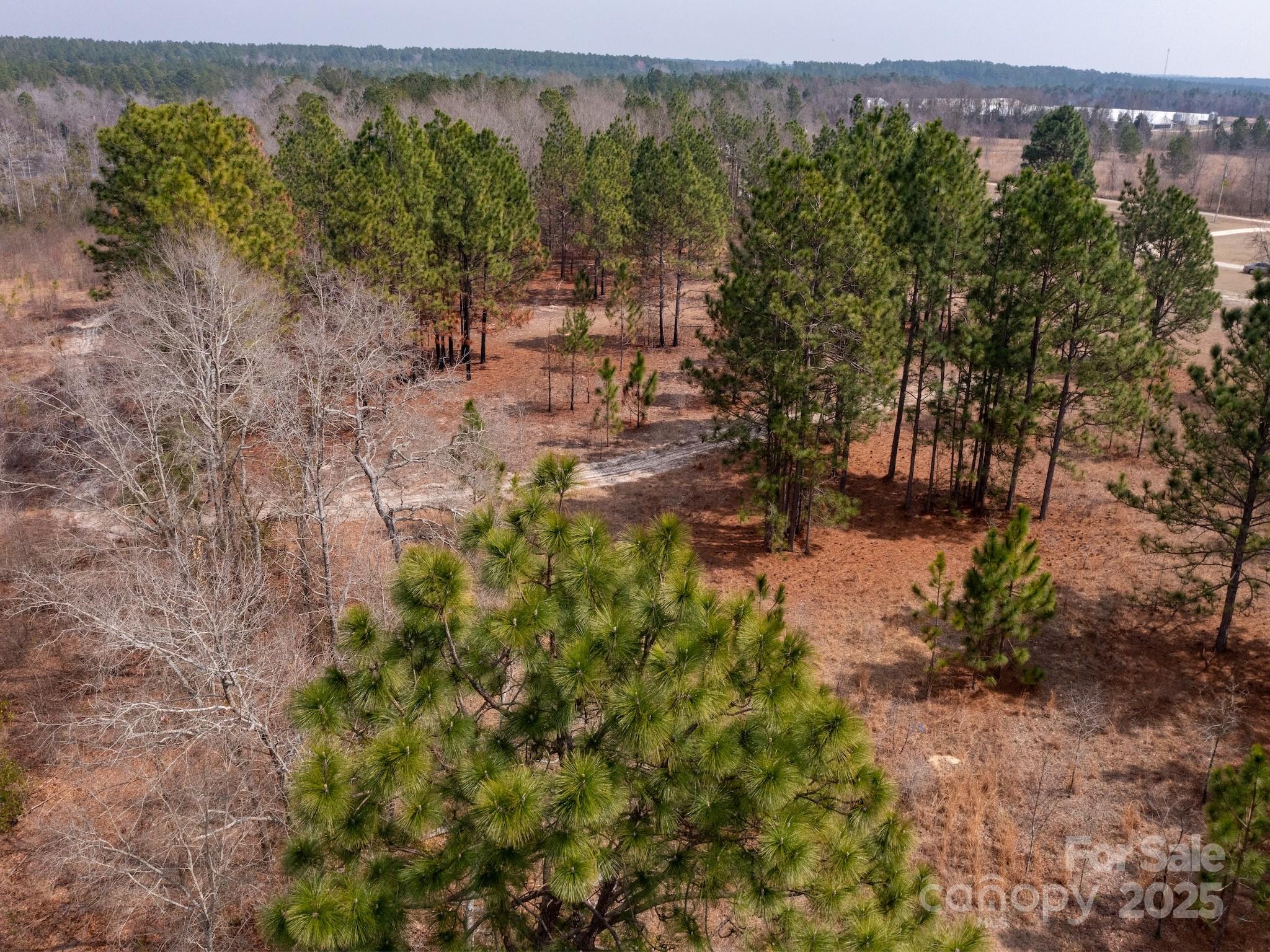 0 Sandy Drive Property Photo