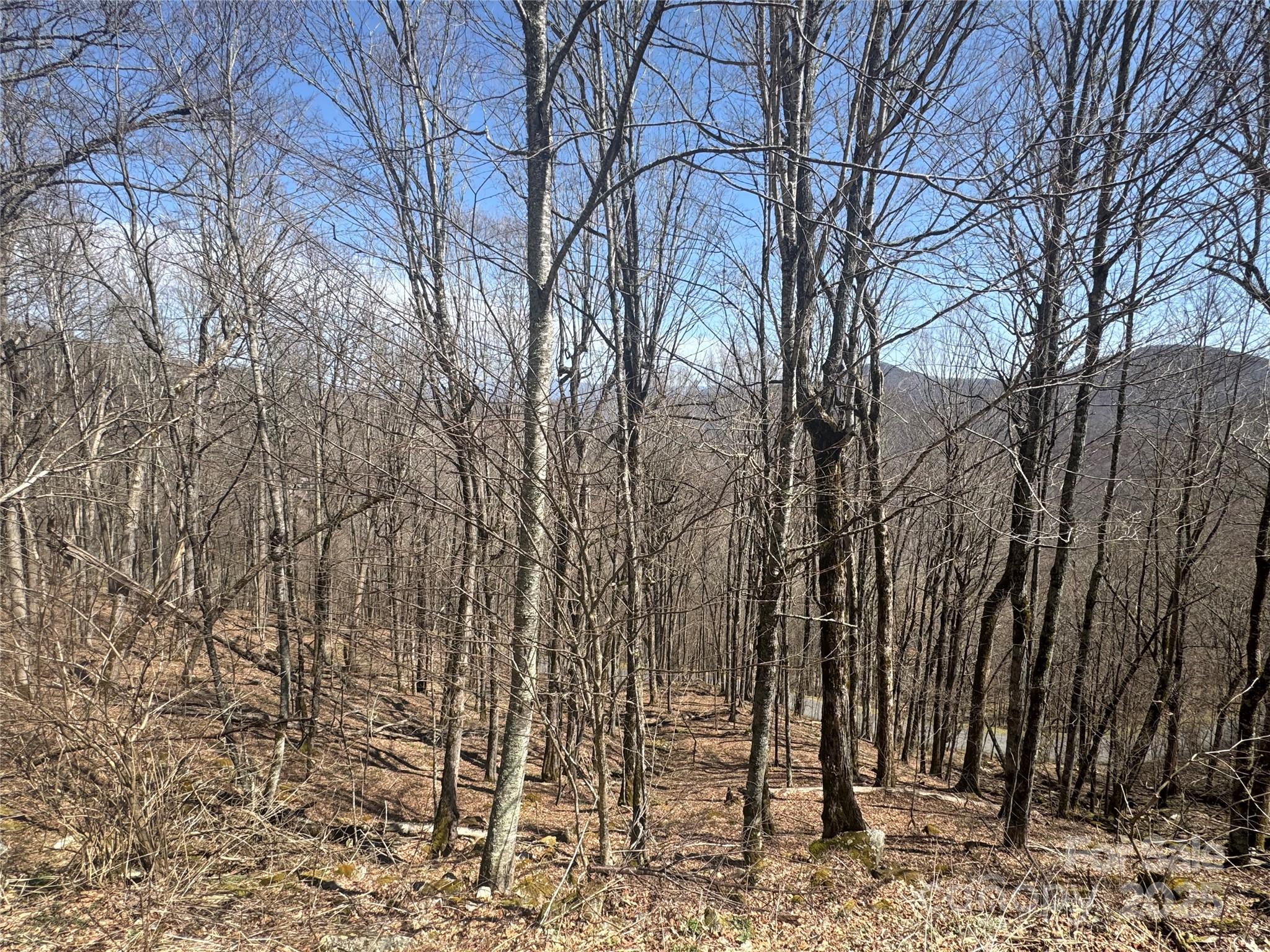 14 & 16 Overlook Drive Property Photo