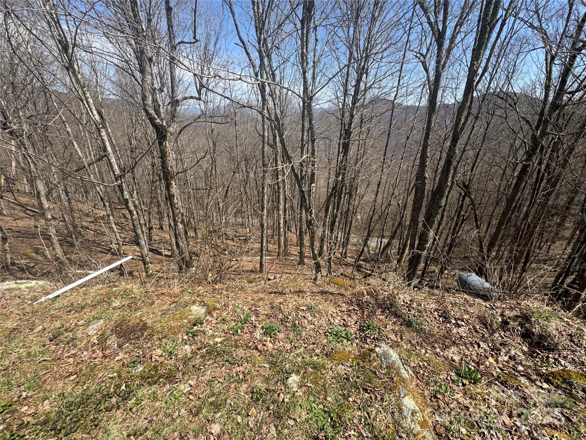 14 & 16 Overlook Drive Property Photo 3