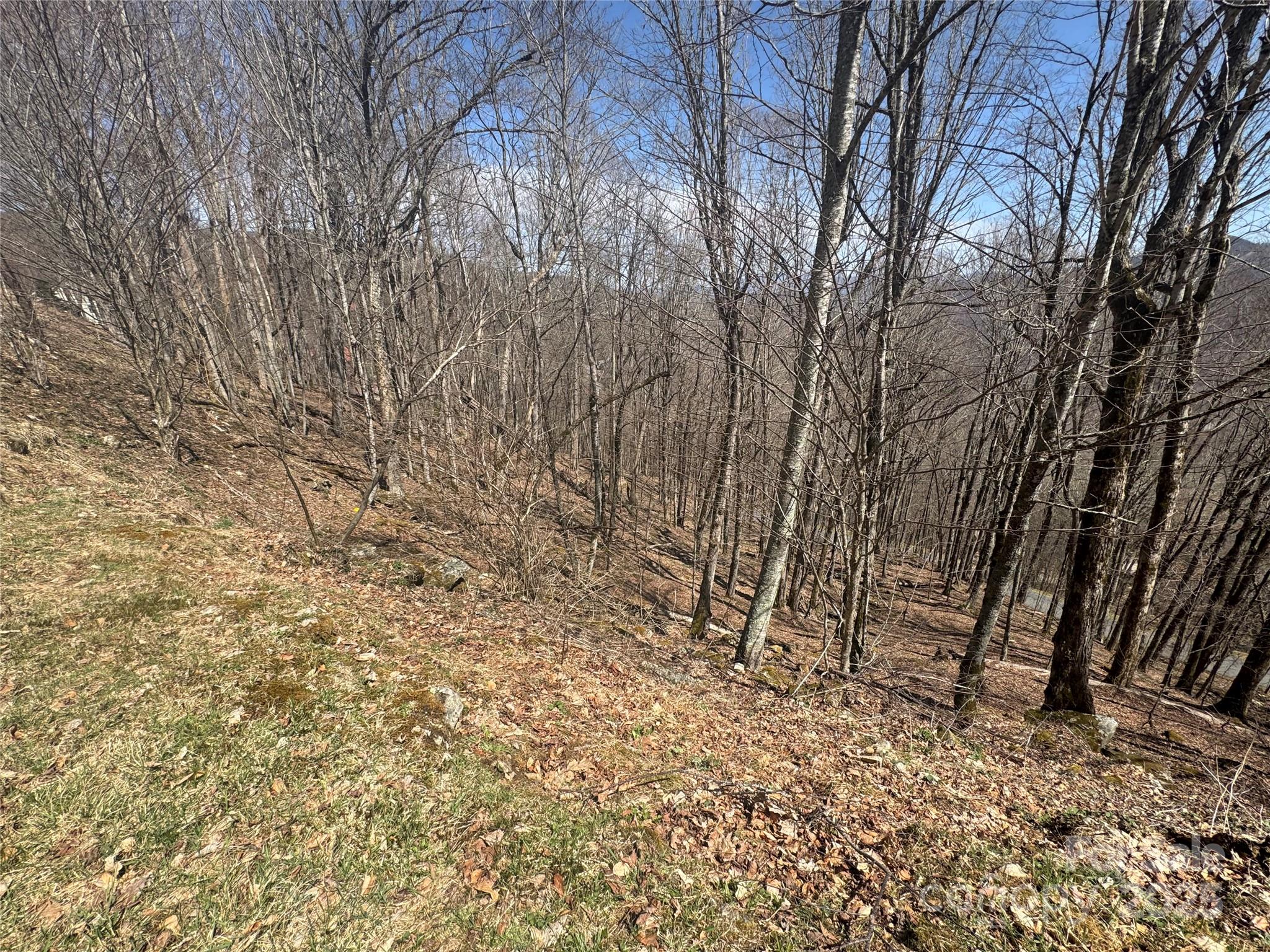14 & 16 Overlook Drive Property Photo 4