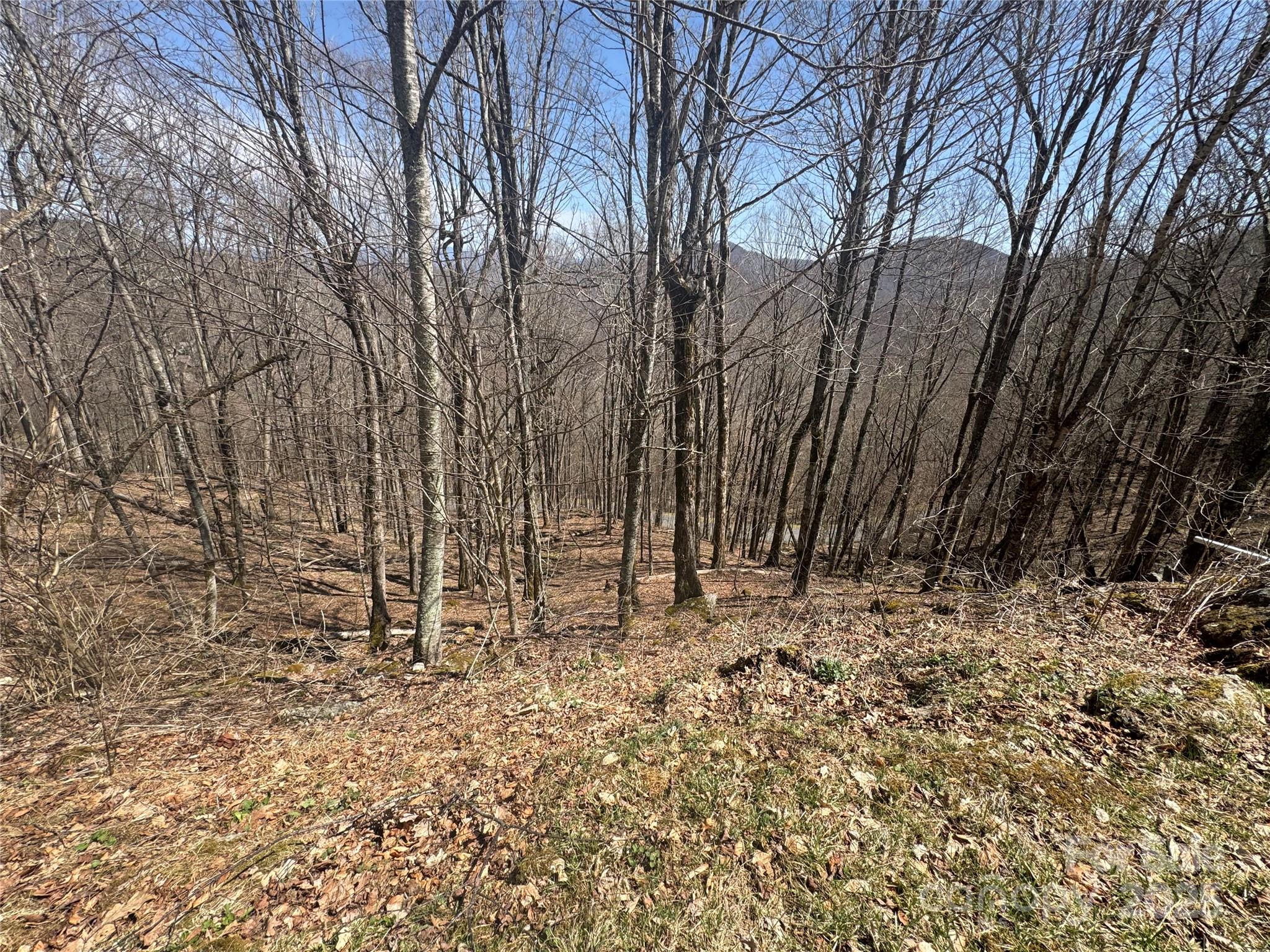 14 & 16 Overlook Drive Property Photo 5