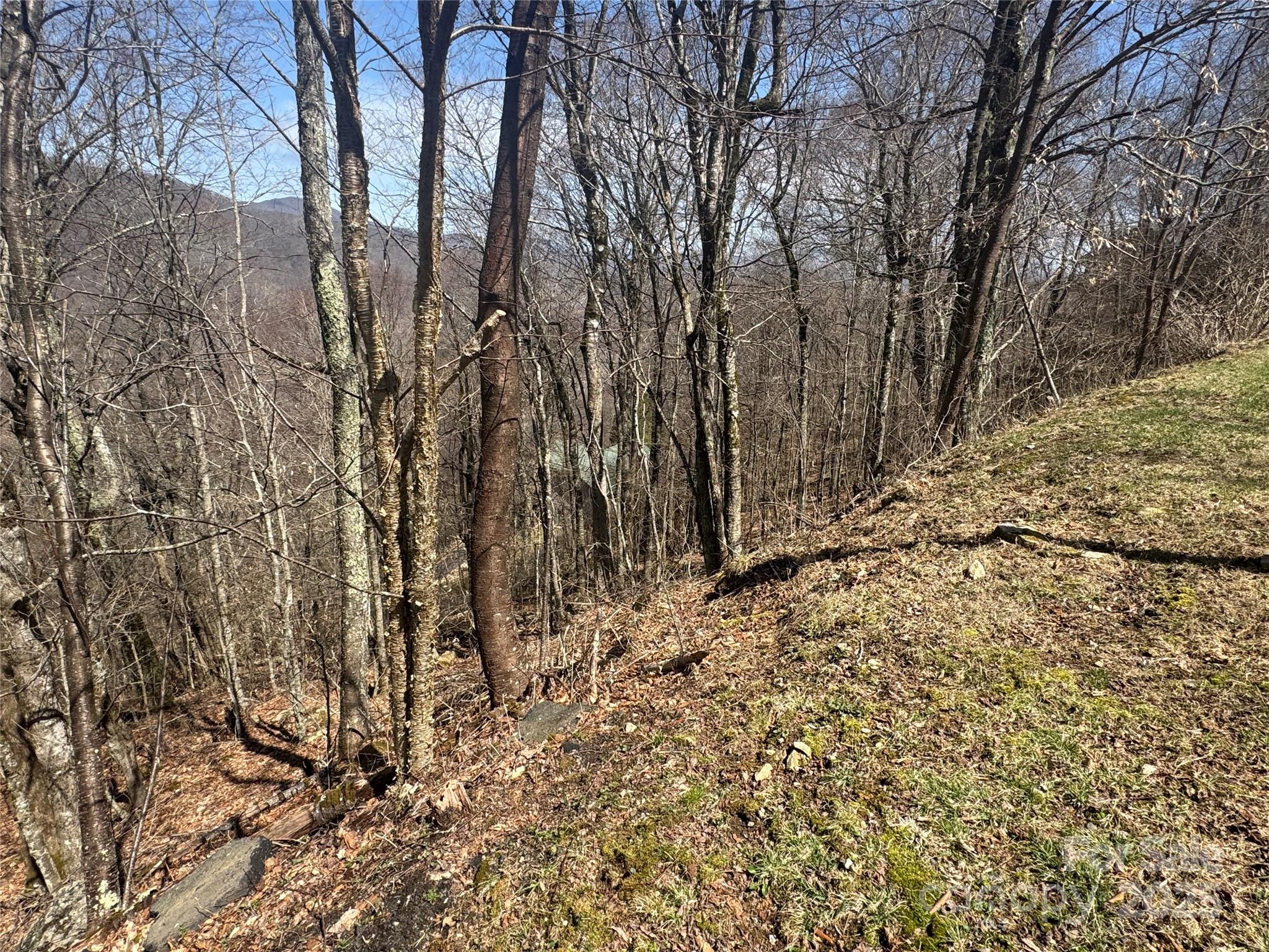 53 & 55 Running Cedar Drive Property Photo 4