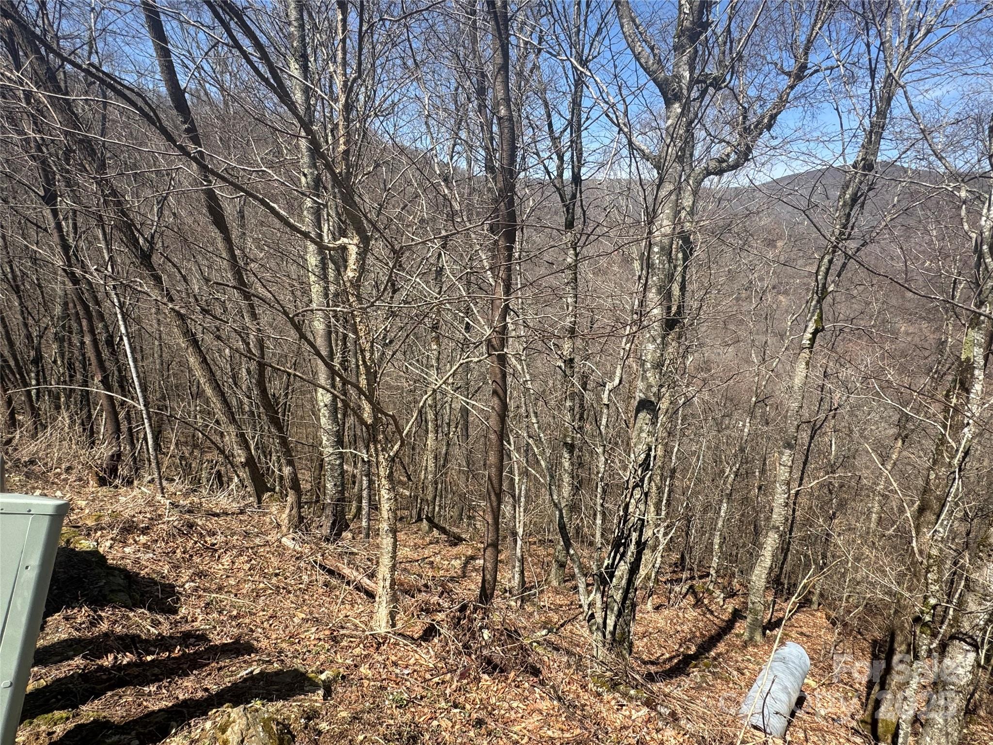 53 & 55 Running Cedar Drive Property Photo 5