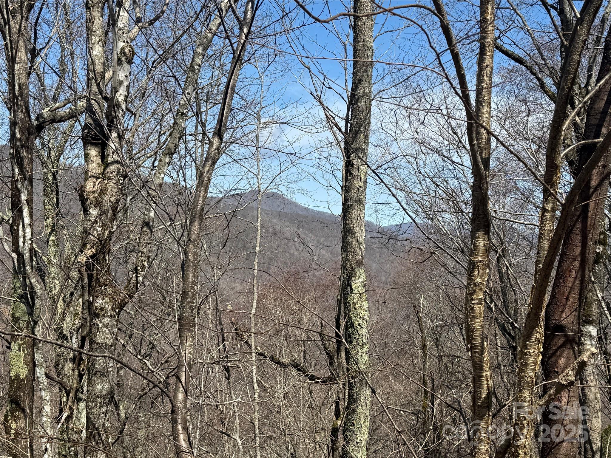 53 & 55 Running Cedar Drive Property Photo 6