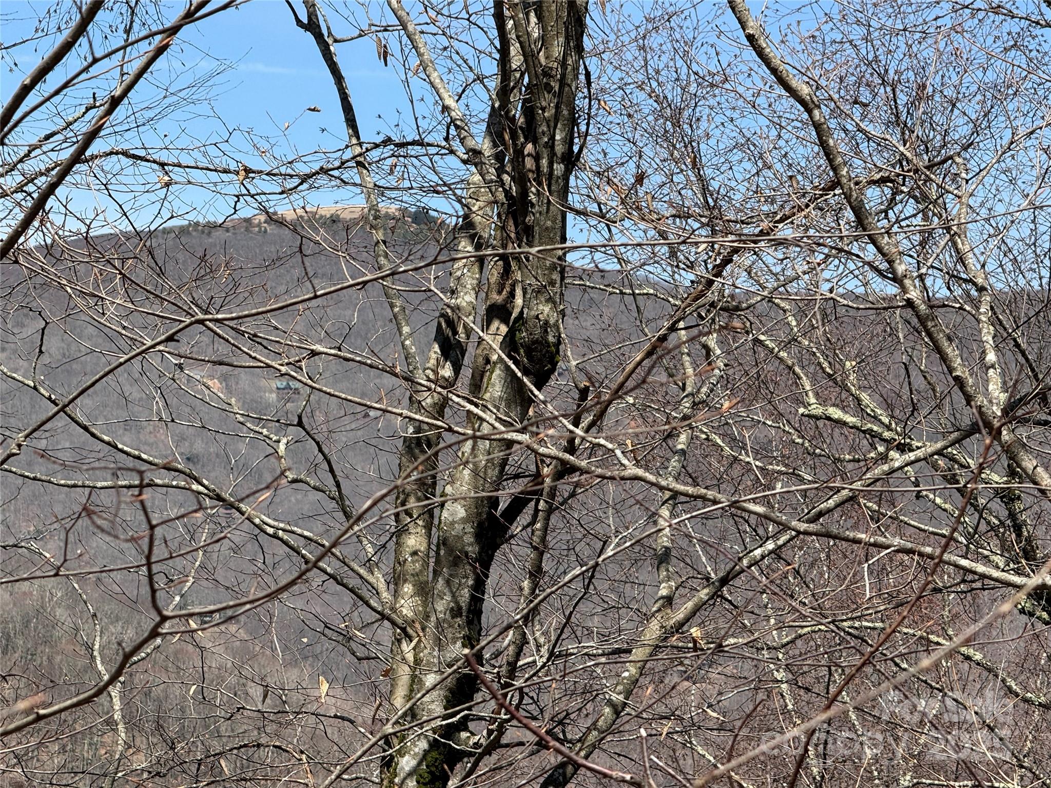 53 & 55 Running Cedar Drive Property Photo 7