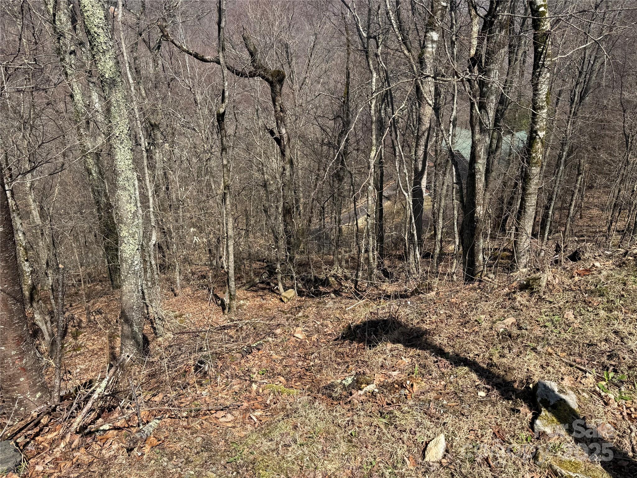 53 & 55 Running Cedar Drive Property Photo 9