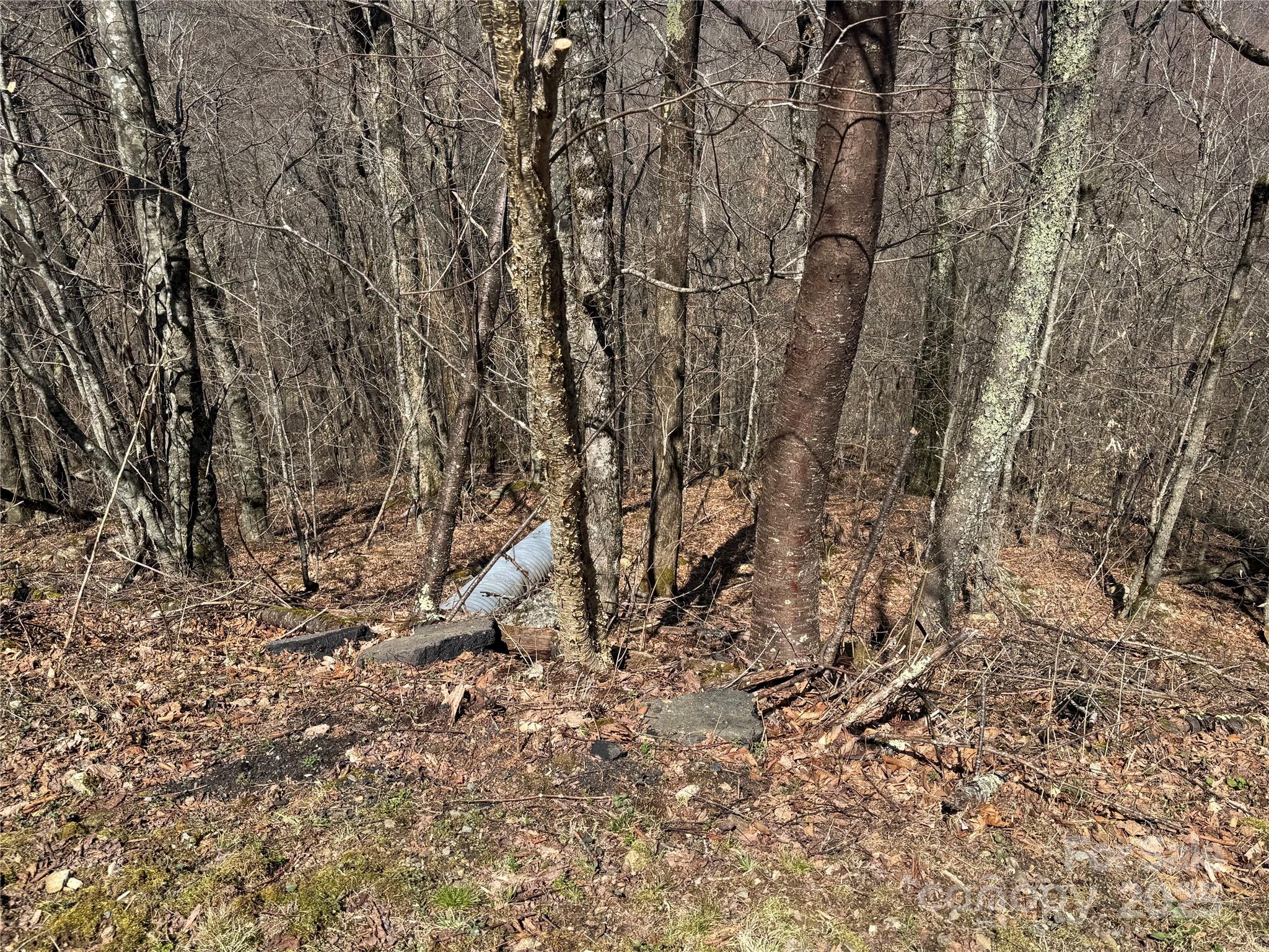 53 & 55 Running Cedar Drive Property Photo 10