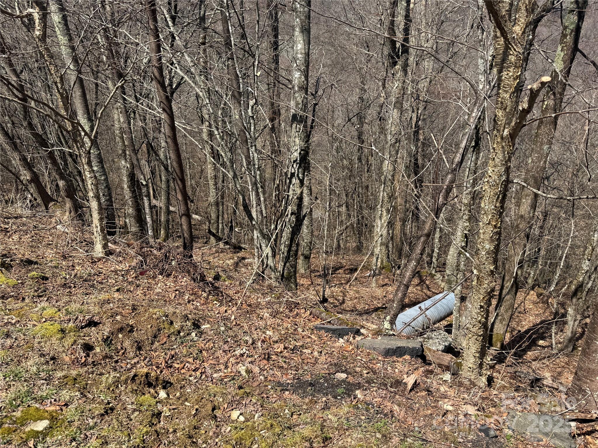 53 & 55 Running Cedar Drive Property Photo 11