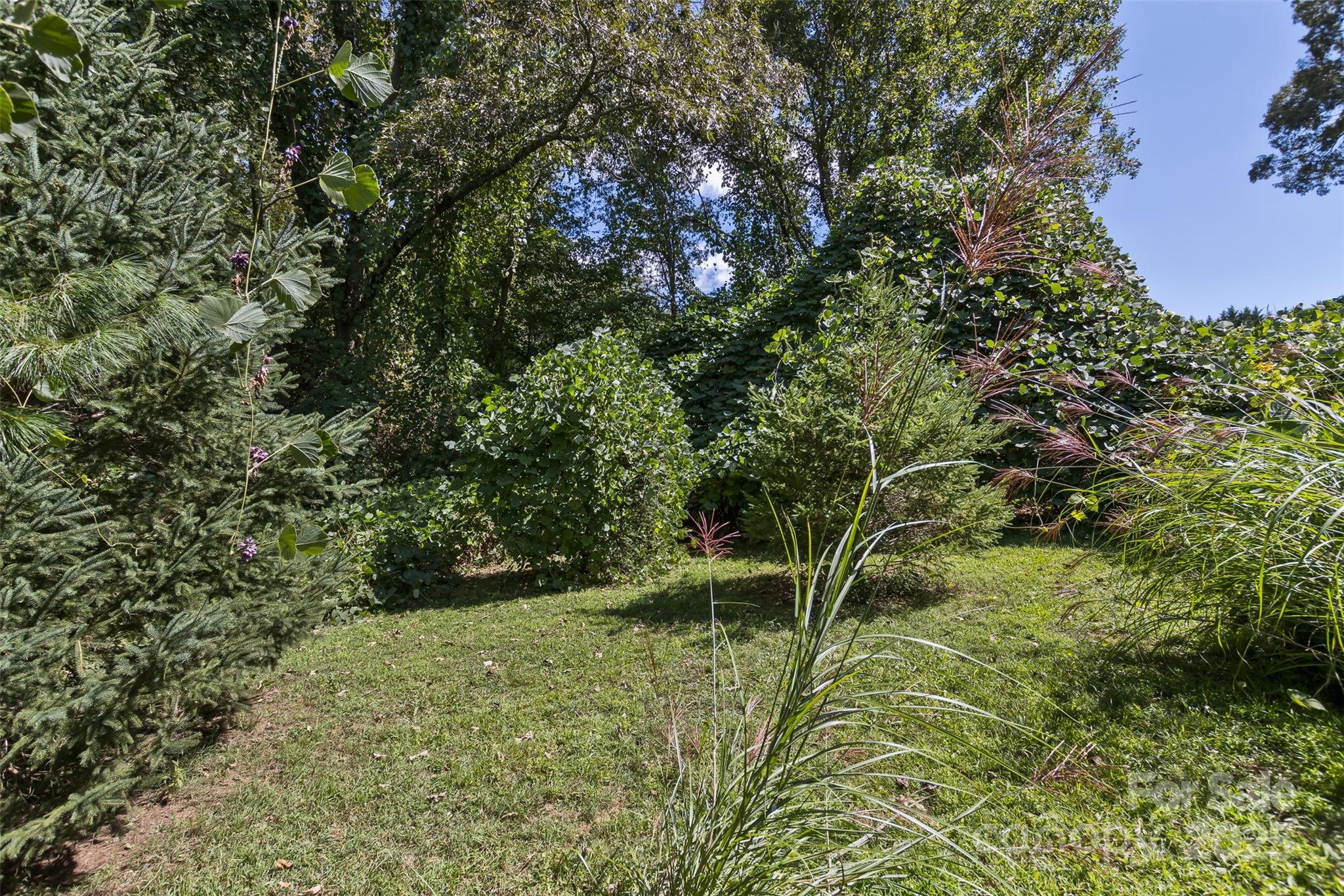 99999 Rocky Hollow Tract 2 Property Photo 3