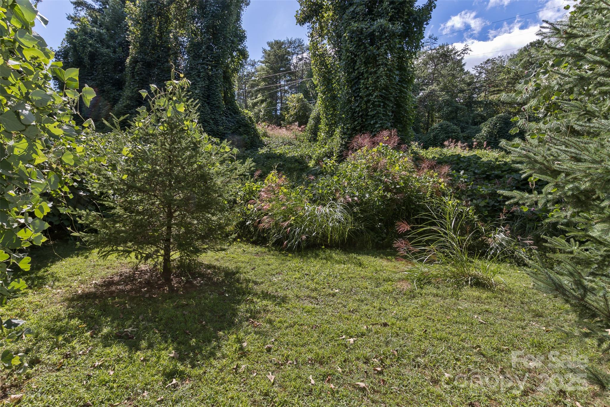 99999 Rocky Hollow Tract 2 Property Photo 4