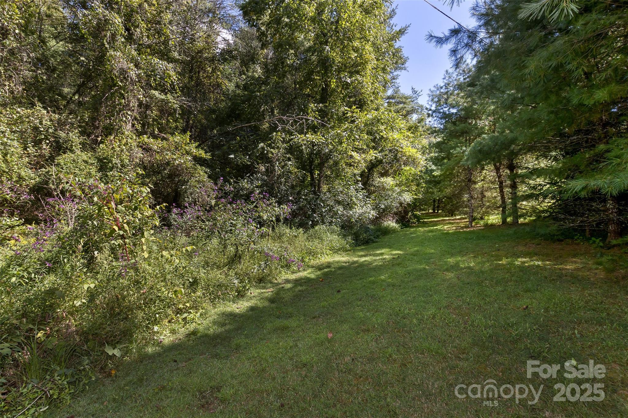 99999 Rocky Hollow Tract 2 Property Photo 6