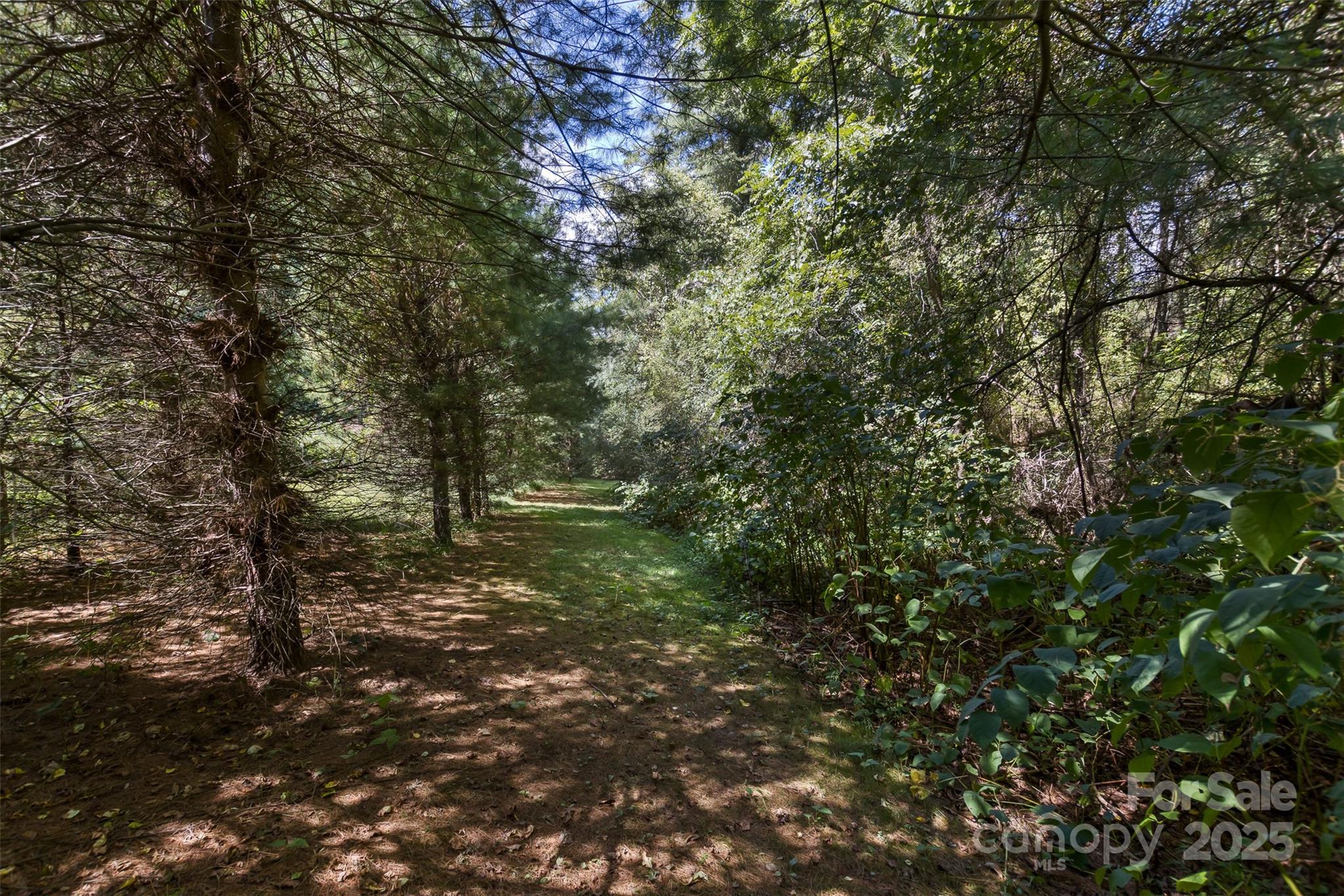 99999 Rocky Hollow Tract 2 Property Photo 10