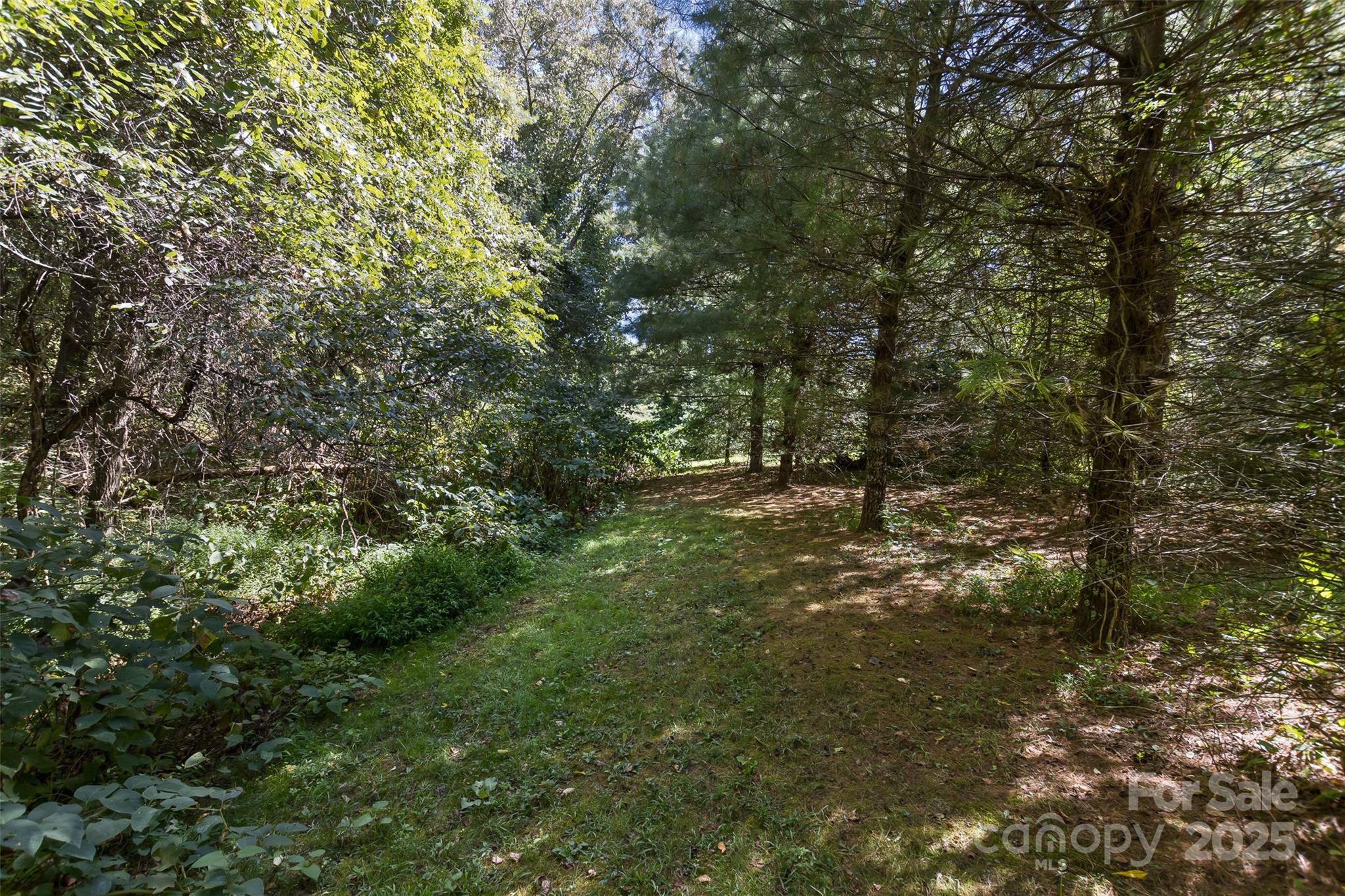 99999 Rocky Hollow Tract 2 Property Photo 11