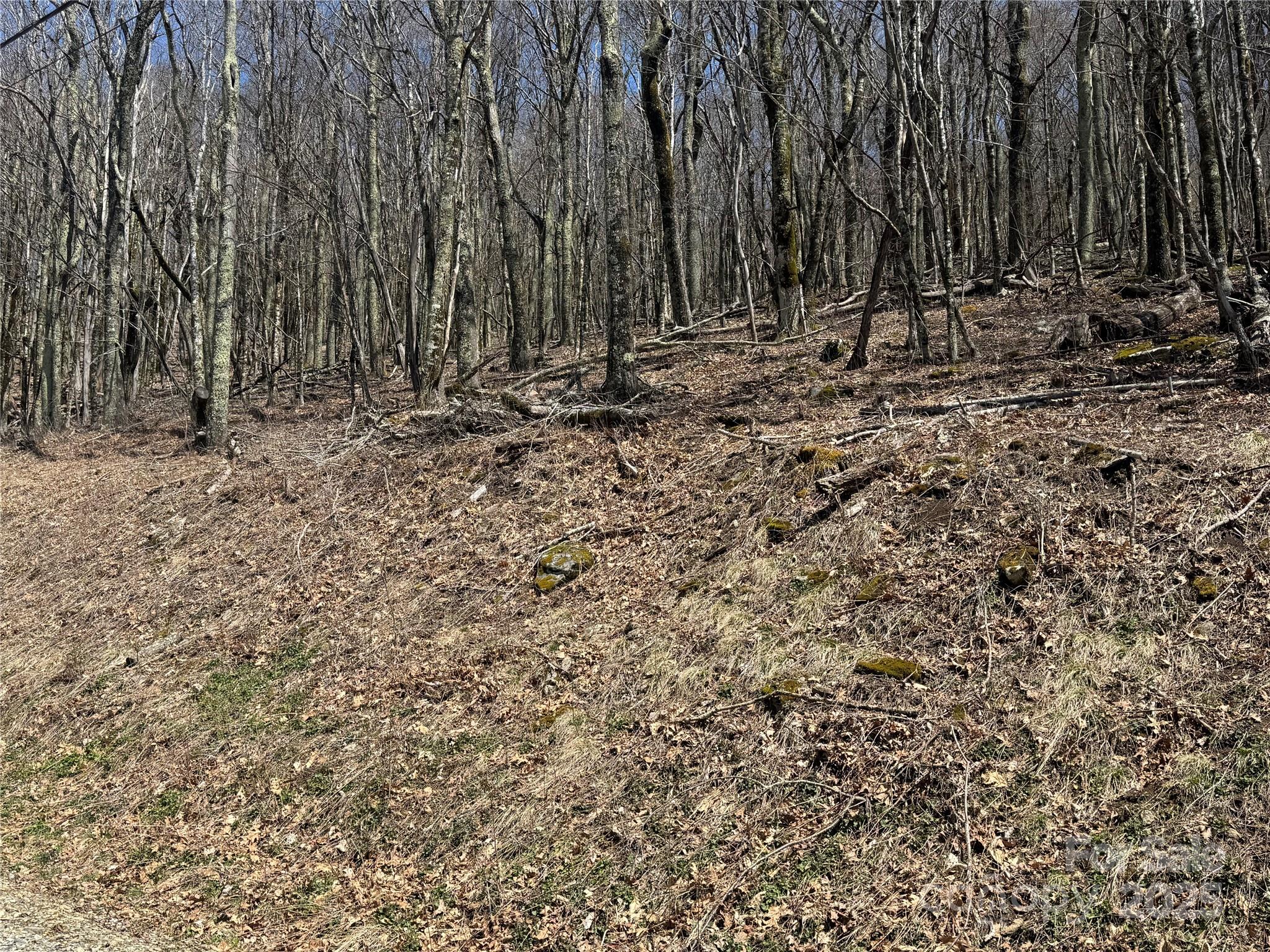 244 & 245 Grouse Thicket Lane Property Photo