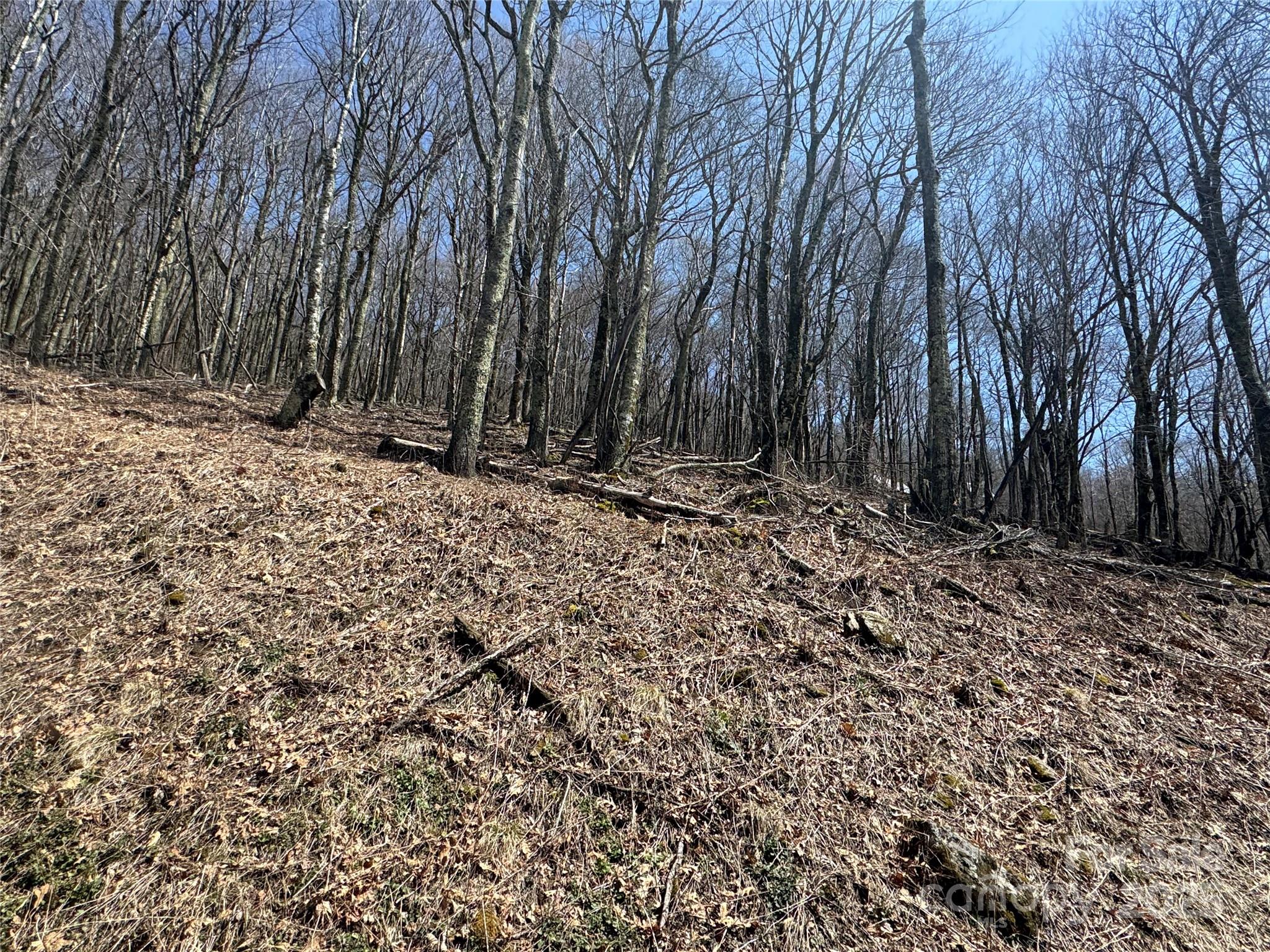 244 & 245 Grouse Thicket Lane Property Photo 2