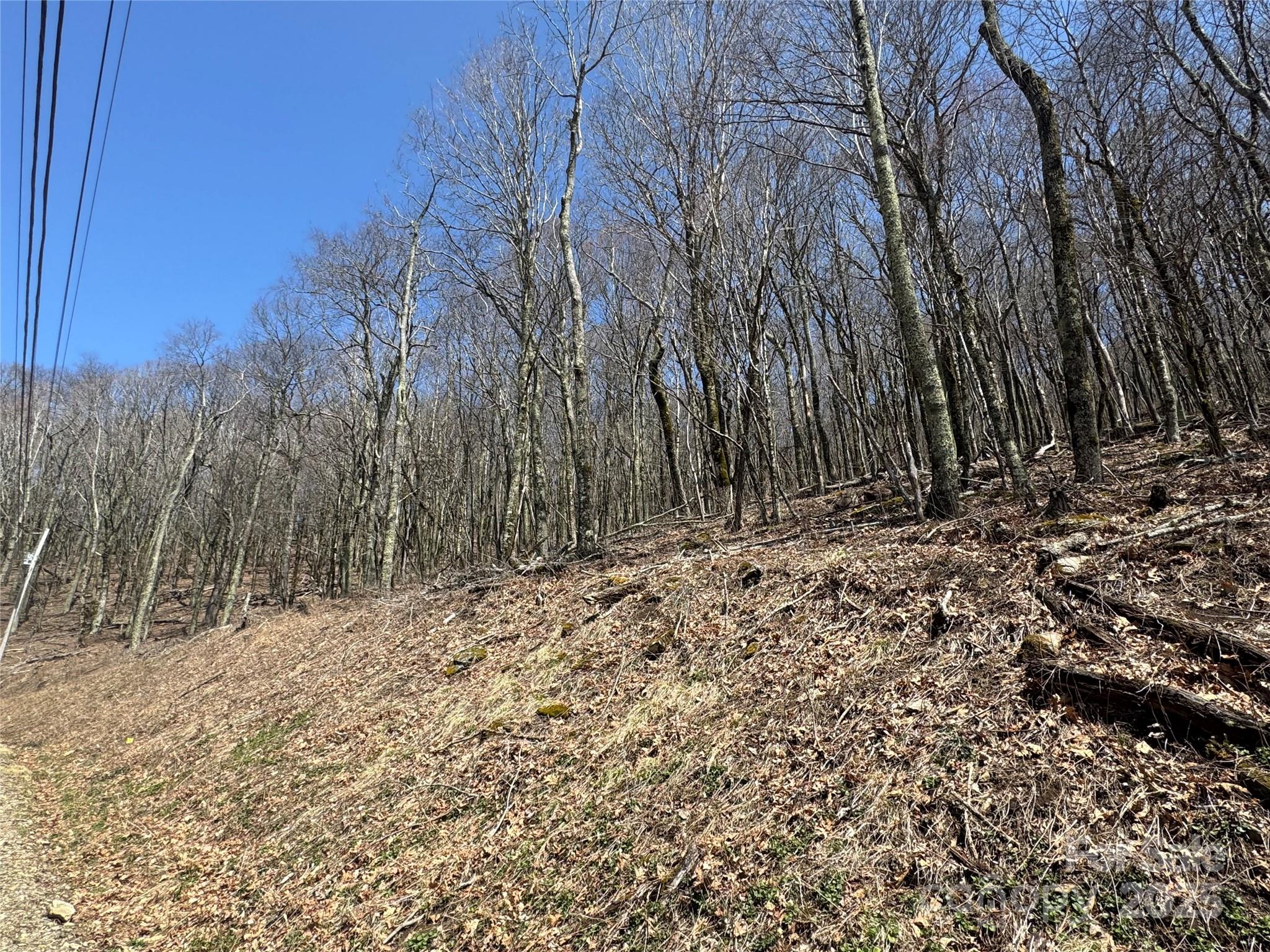 244 & 245 Grouse Thicket Lane Property Photo 3