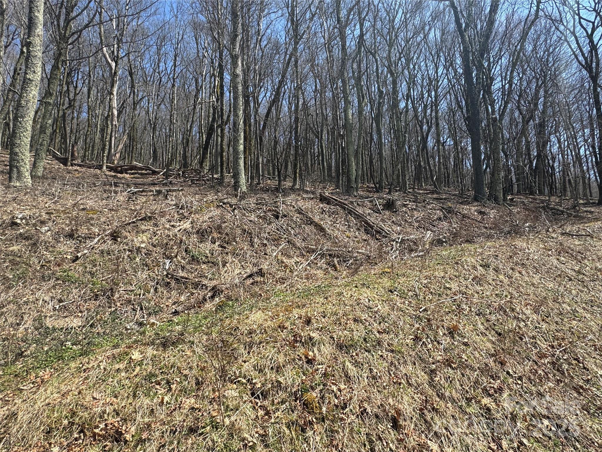 244 & 245 Grouse Thicket Lane Property Photo 4