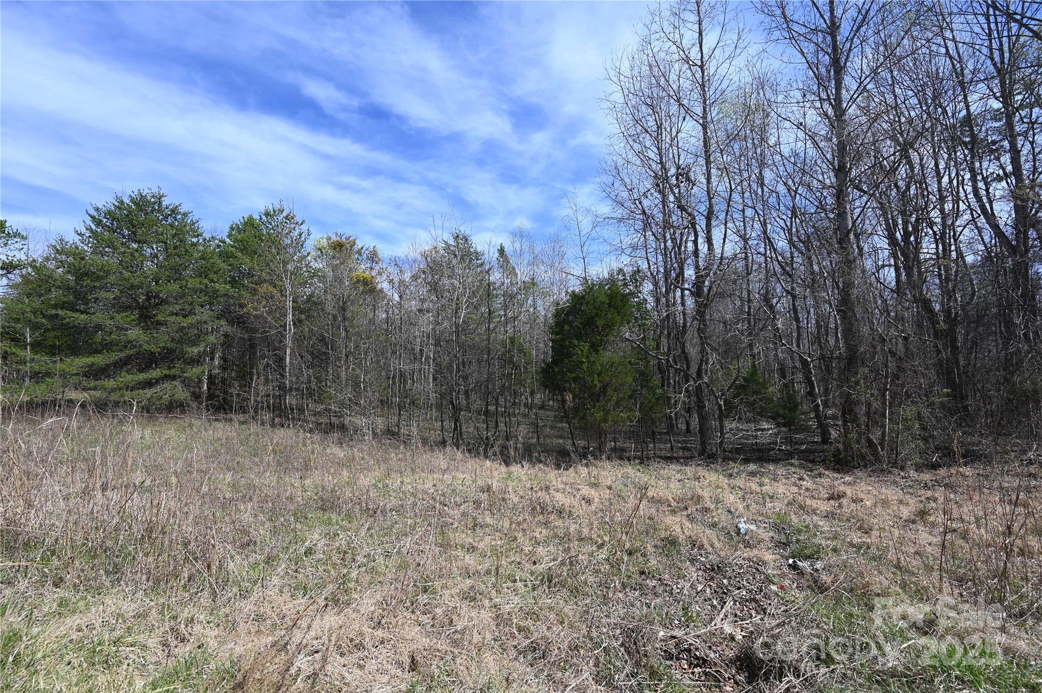 00 E Bells Branch Road 1 Property Photo