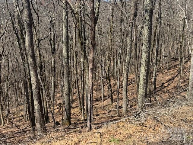 261 Grouse Thicket Lane Property Photo