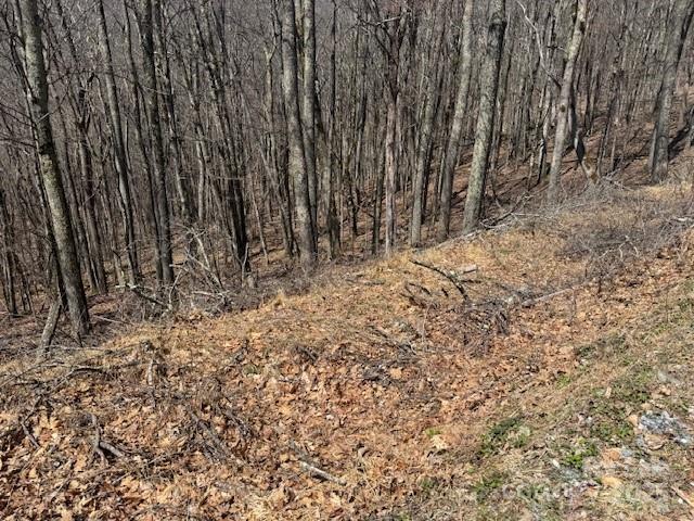 261 Grouse Thicket Lane Property Photo 2