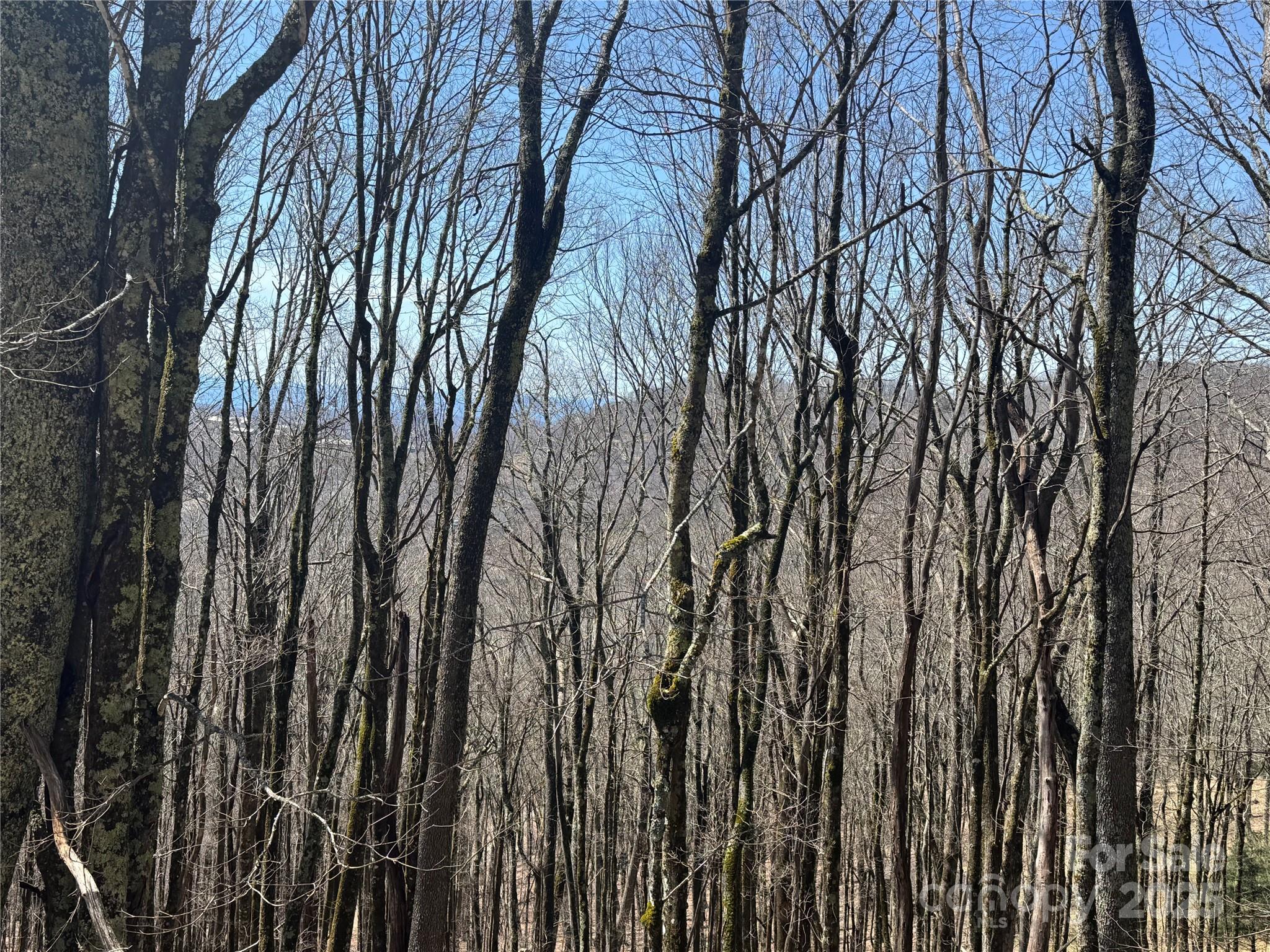 261 Grouse Thicket Lane Property Photo 3