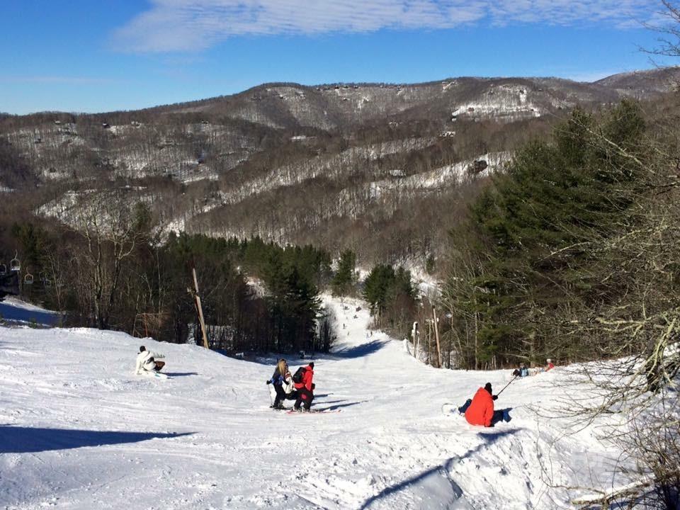 261 Grouse Thicket Lane Property Photo 8