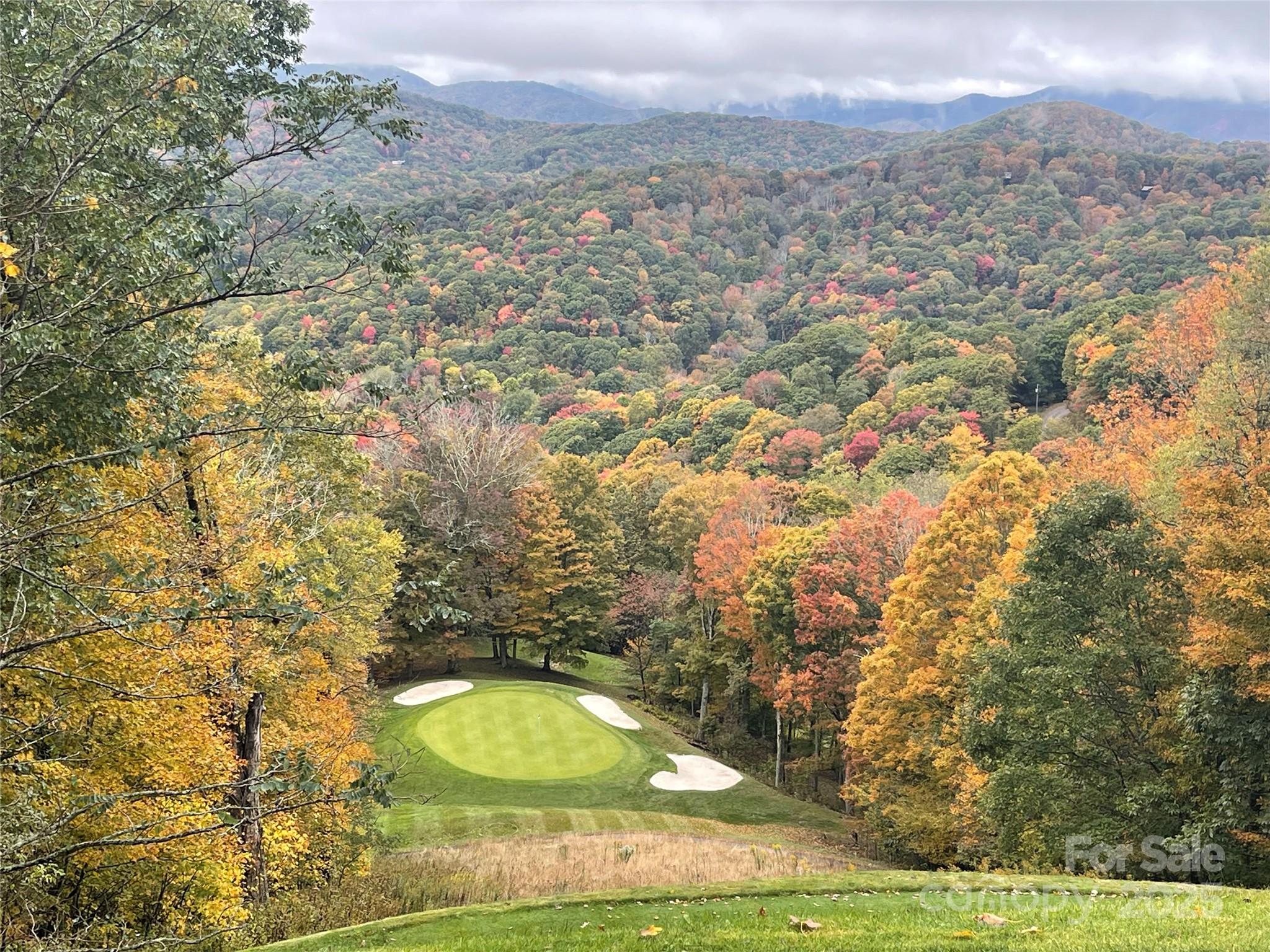 261 Grouse Thicket Lane Property Photo 10