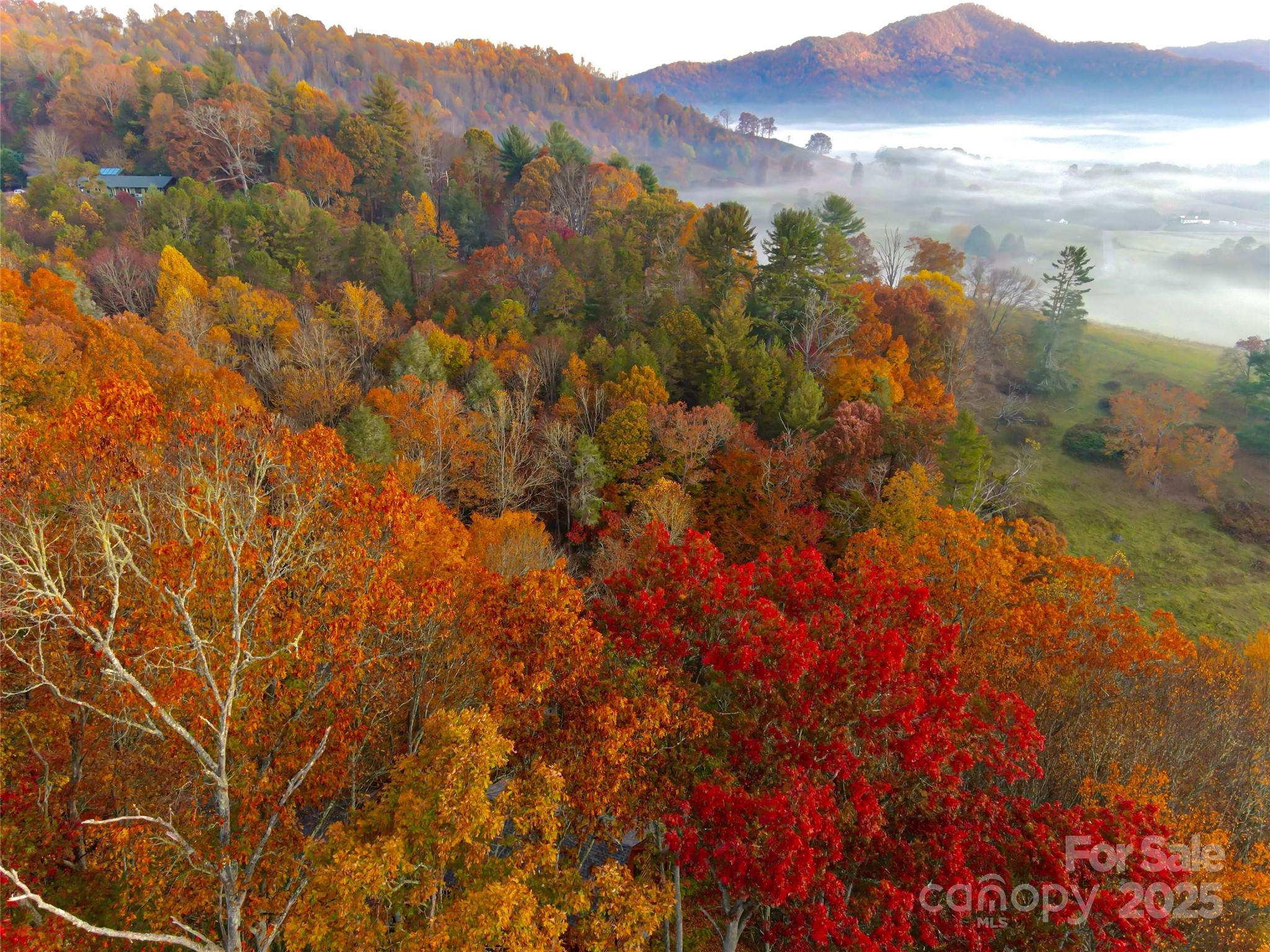 999 Coyote Hollow Road 39 Property Photo 1
