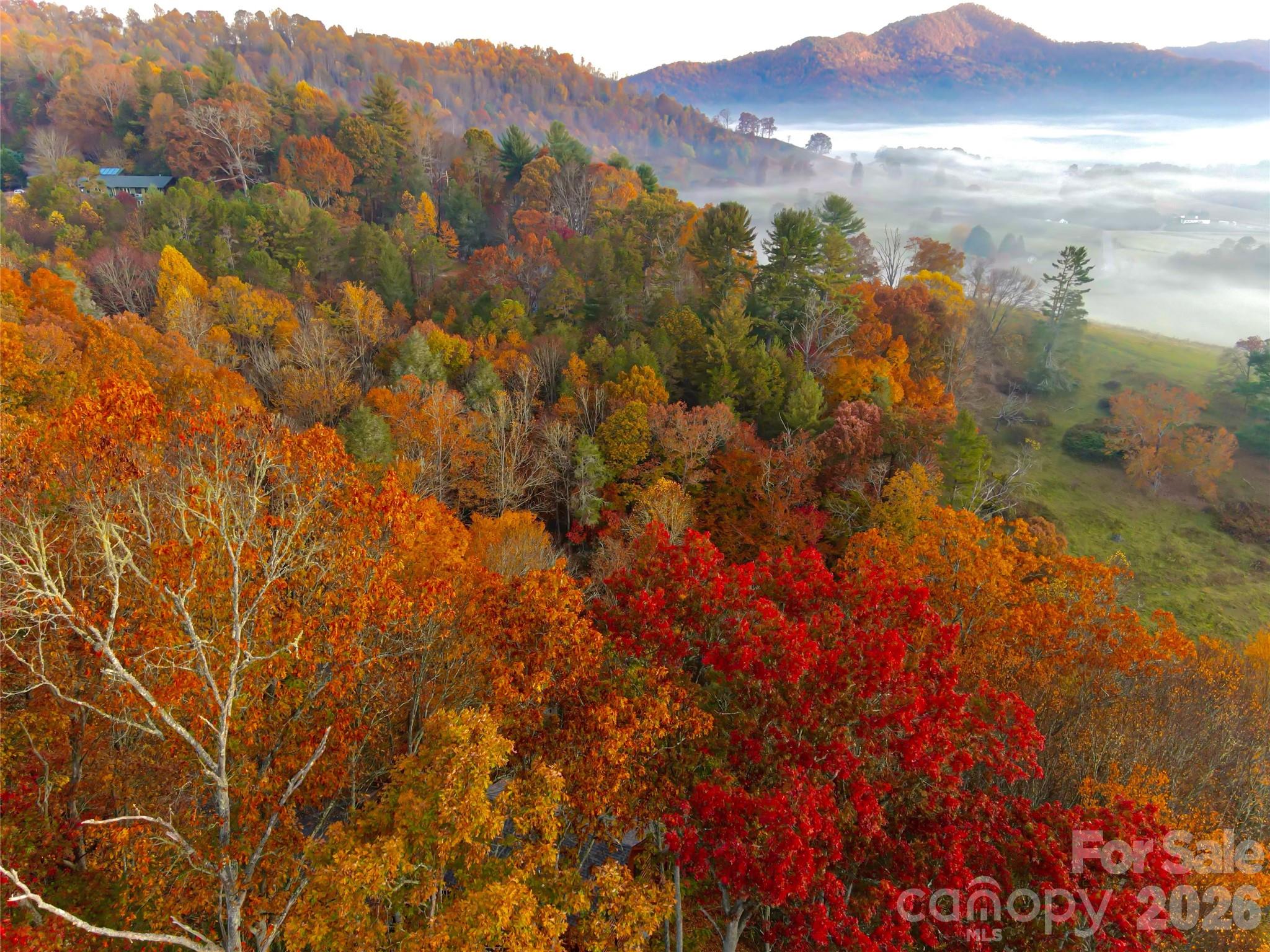 999 Coyote Hollow Road 39 Property Photo 1