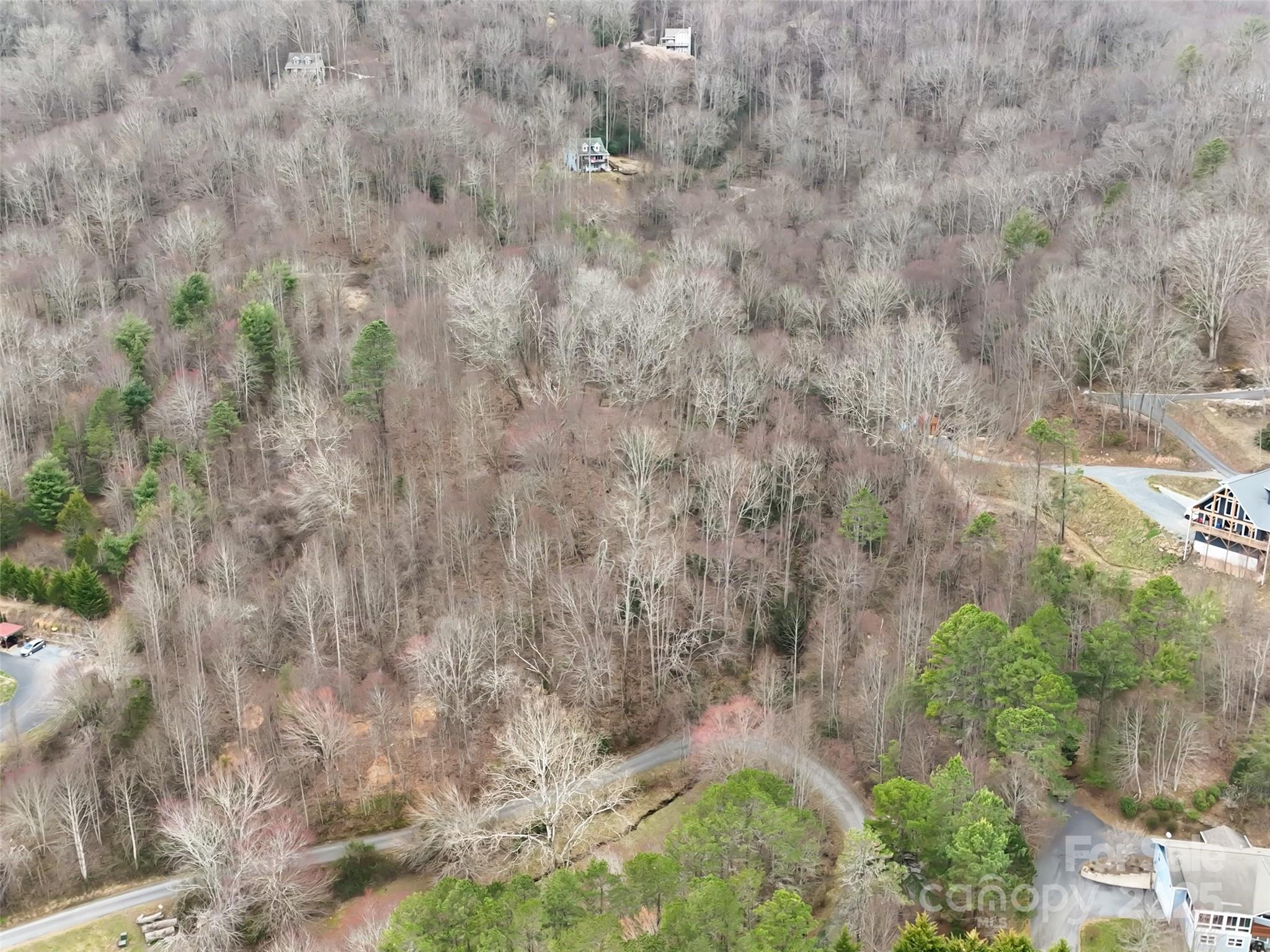 999 Coyote Hollow Road 39 Property Photo 5