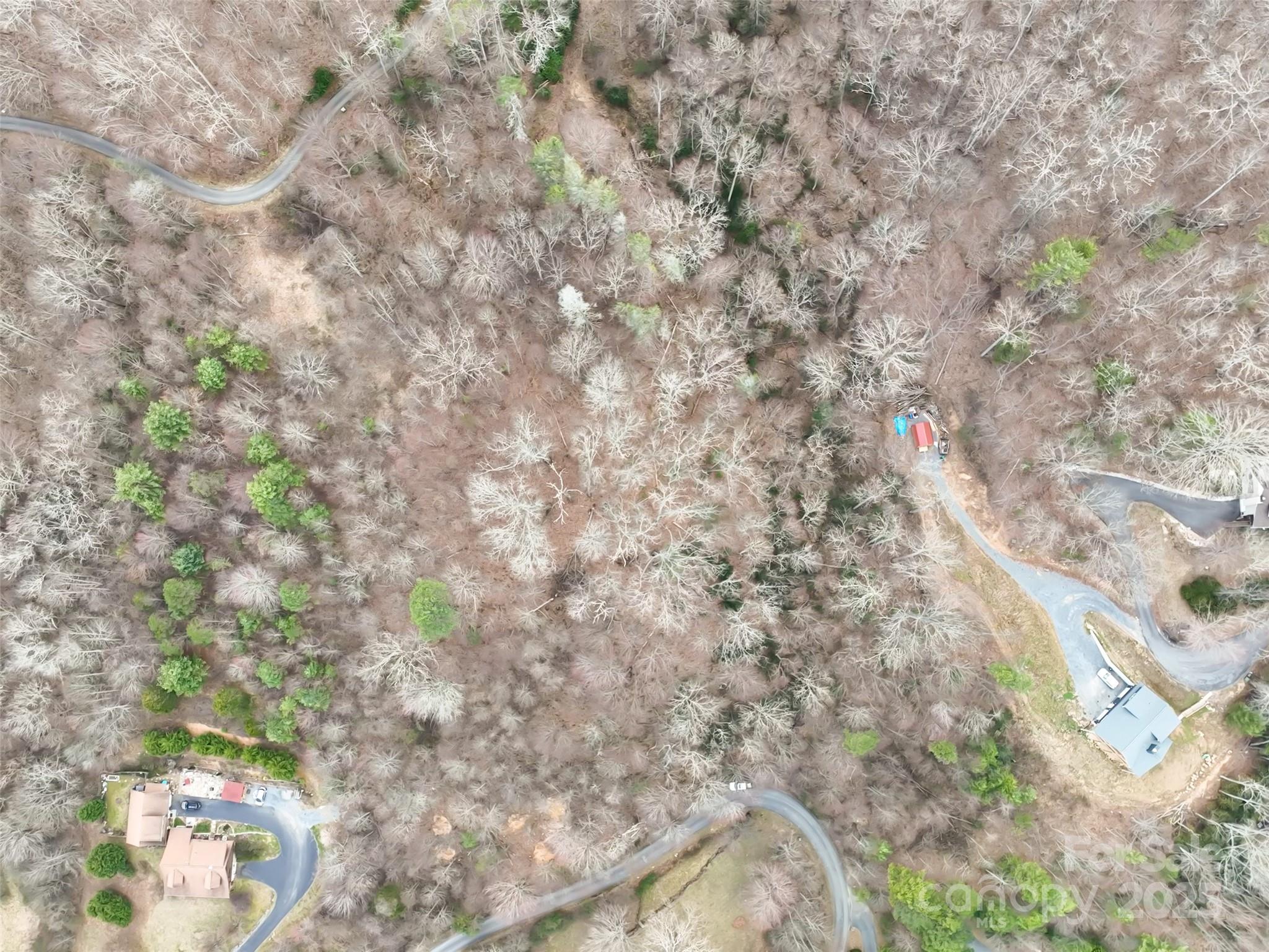 999 Coyote Hollow Road 39 Property Photo 8