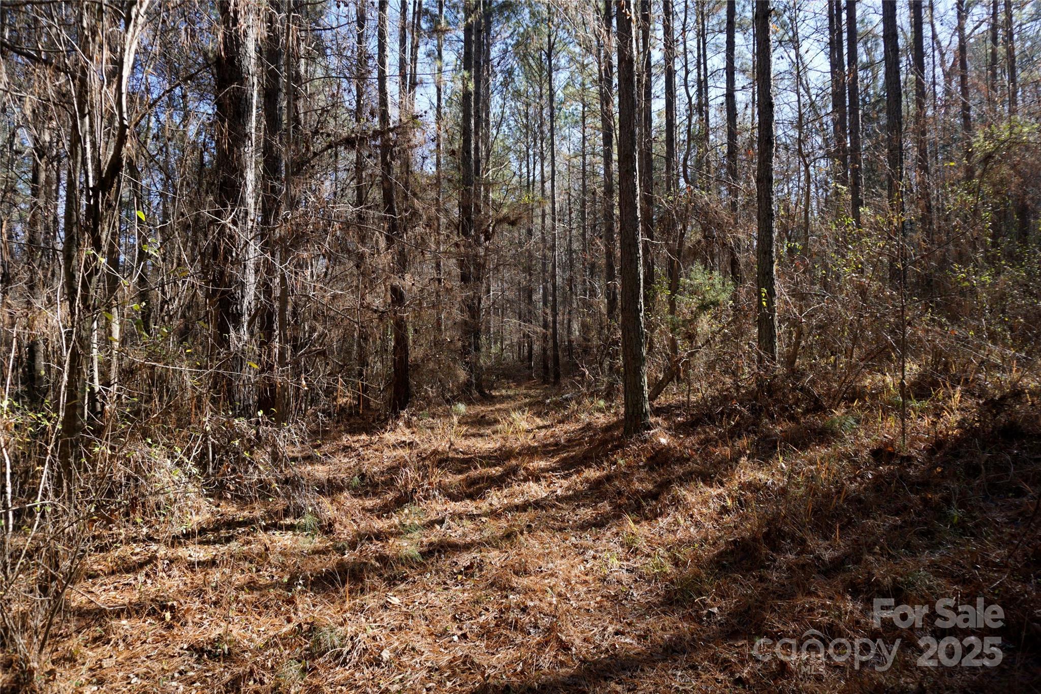 4+/- Ac Lot 1 Skyline Road 1 Property Photo