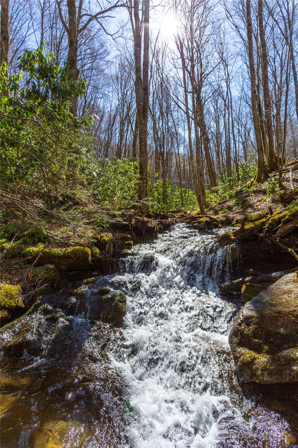 Lot 48c Bearwallow Ridge Trail 48c Property Photo 2