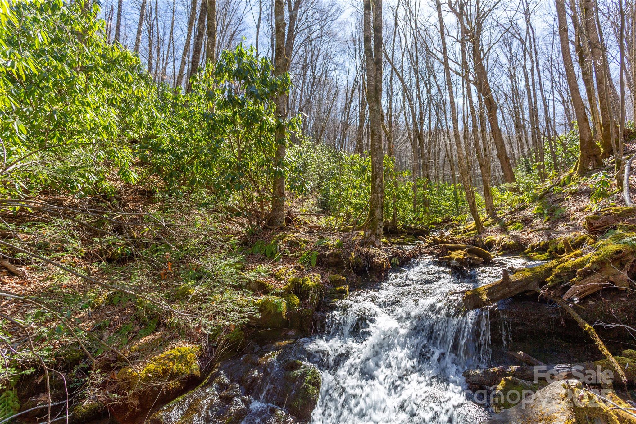 Lot 48c Bearwallow Ridge Trail 48c Property Photo 3