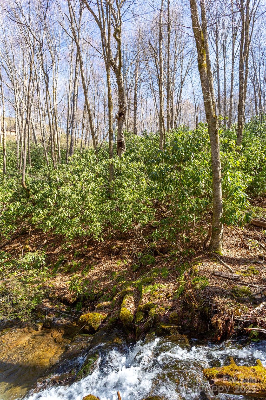 Lot 48c Bearwallow Ridge Trail 48c Property Photo 4