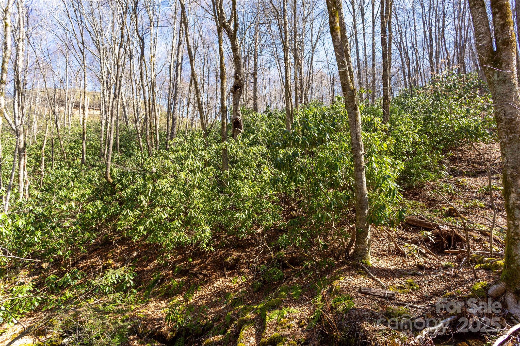 Lot 48c Bearwallow Ridge Trail 48c Property Photo 5